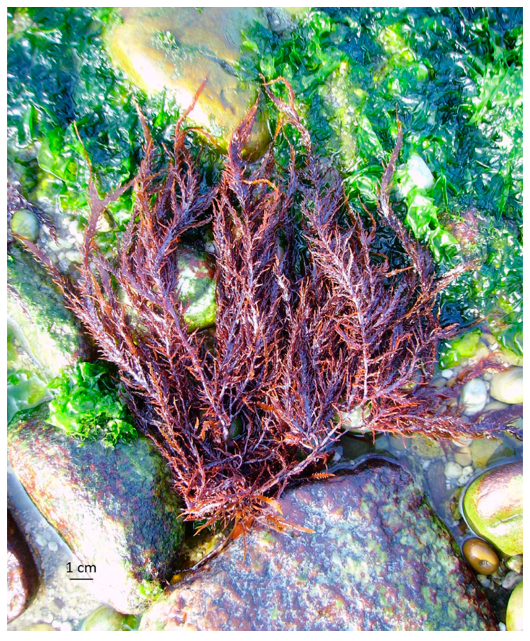 Applsci 10 07553 g001