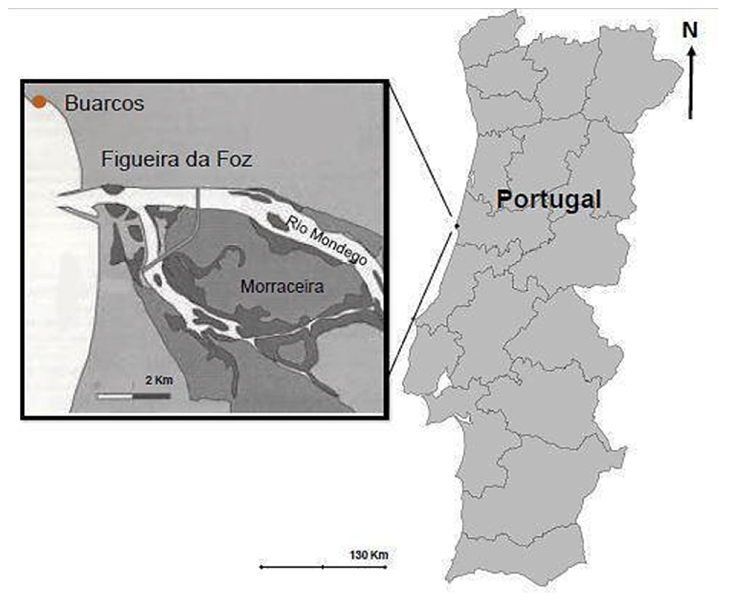 Applsci 10 07553 g002