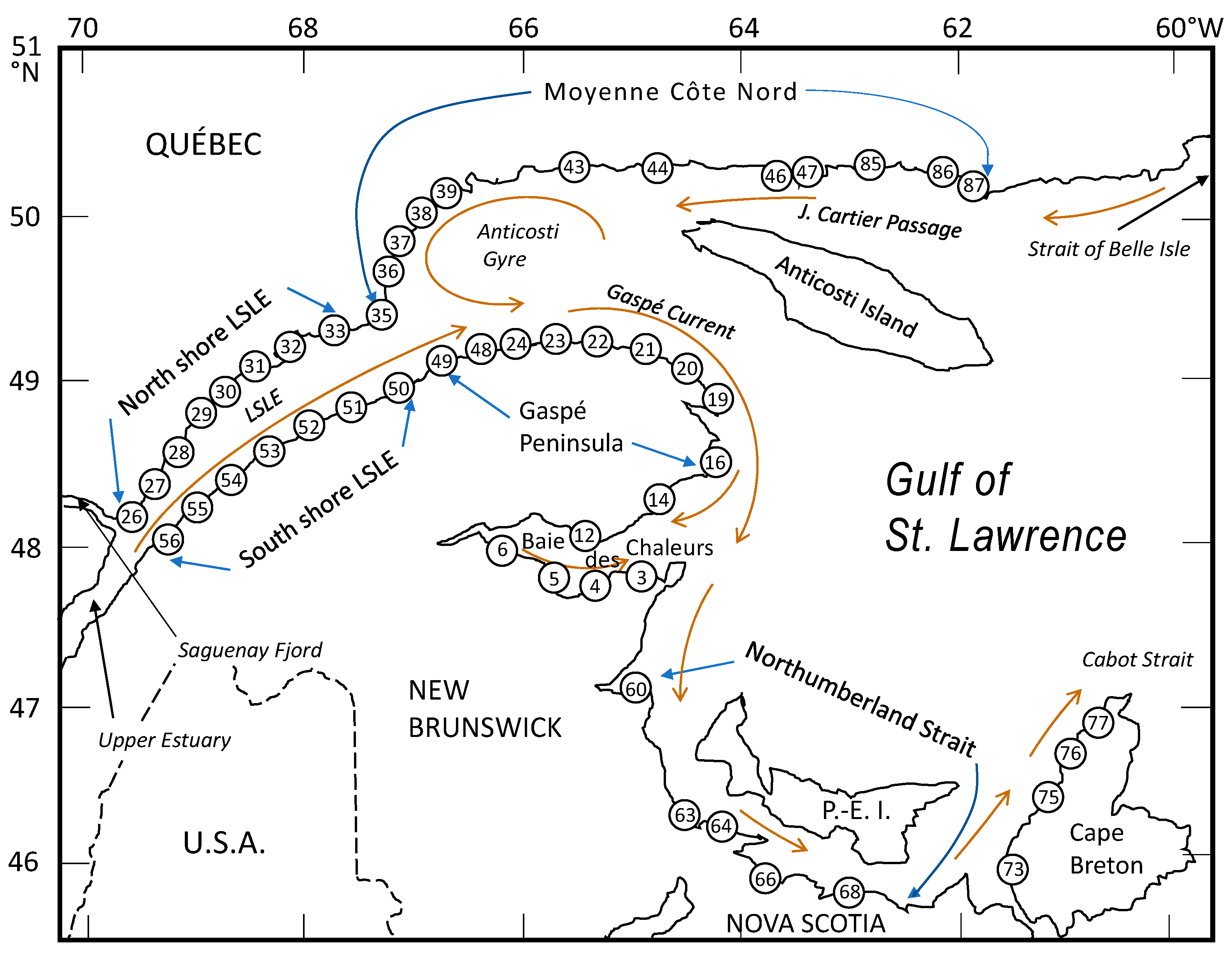 Applsci 10 07556 g001