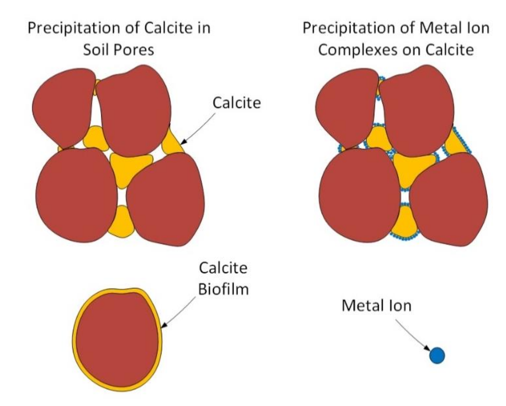 Applsci 10 07568 g005 Applsci 10 07568 g005