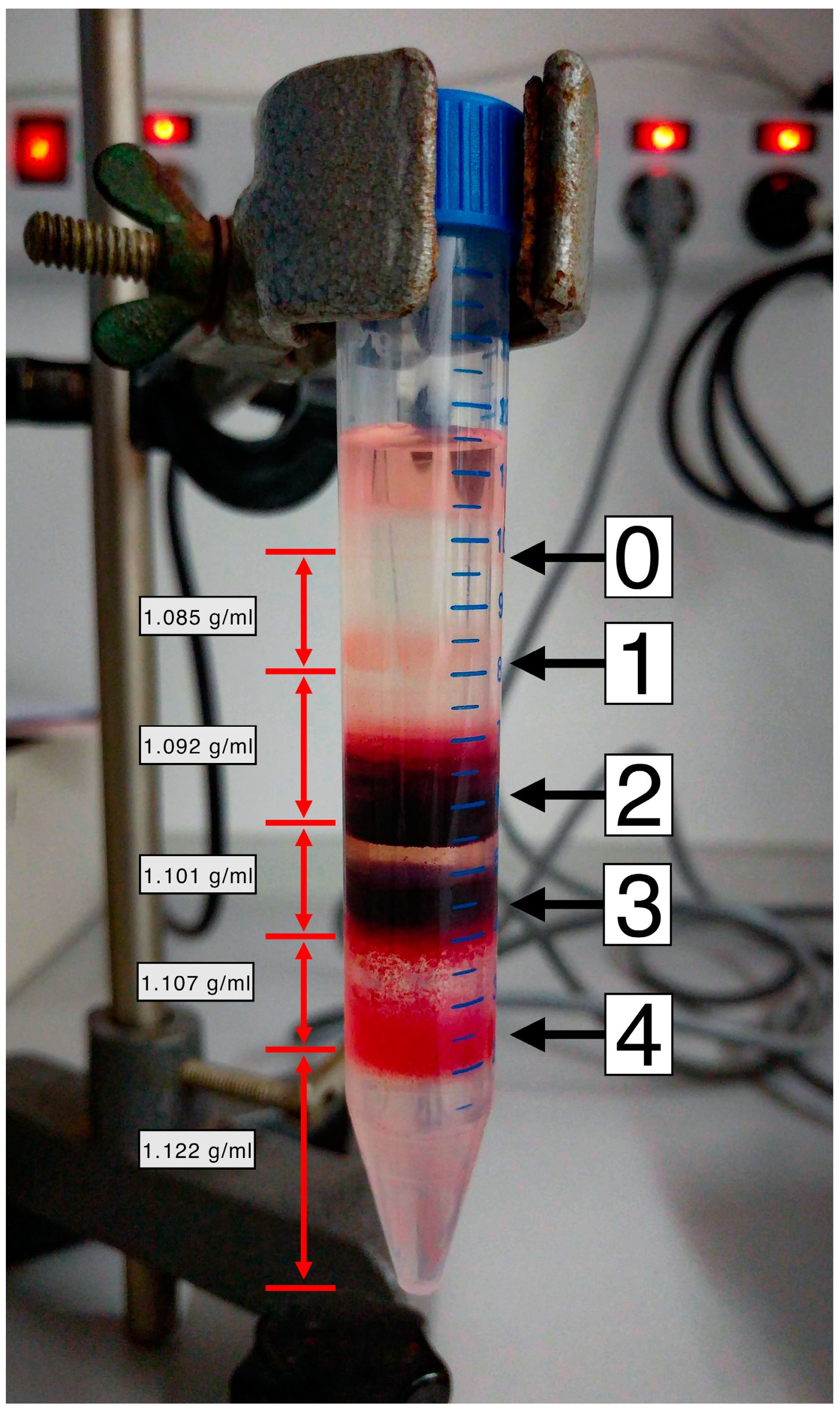 Applsci 10 07581 g001