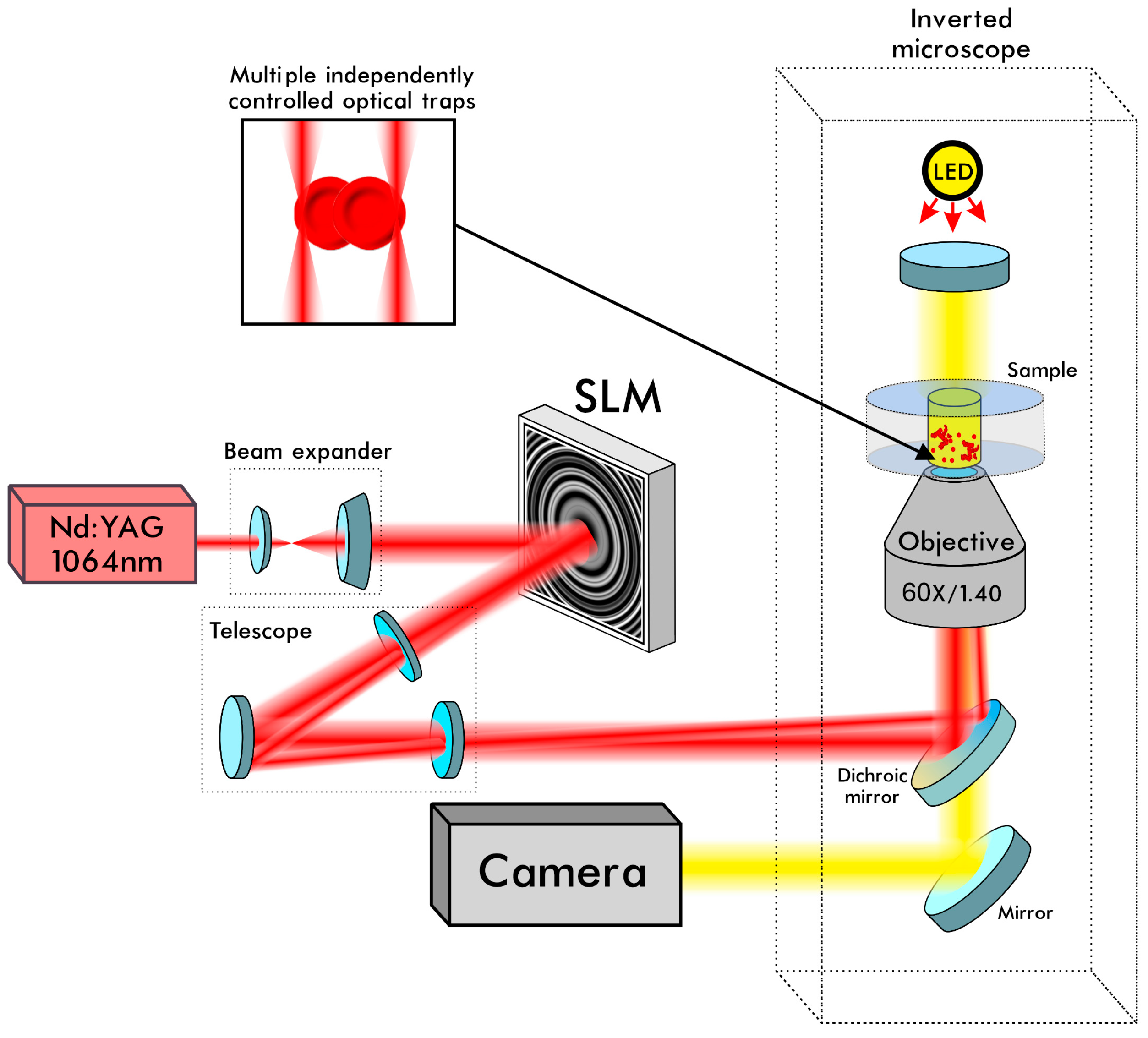 Applsci 10 07581 g002