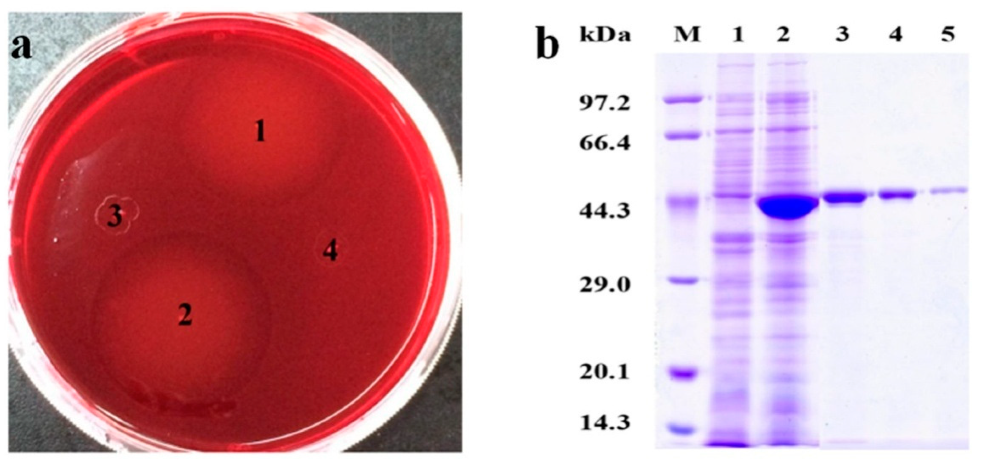 Applsci 10 07584 g005