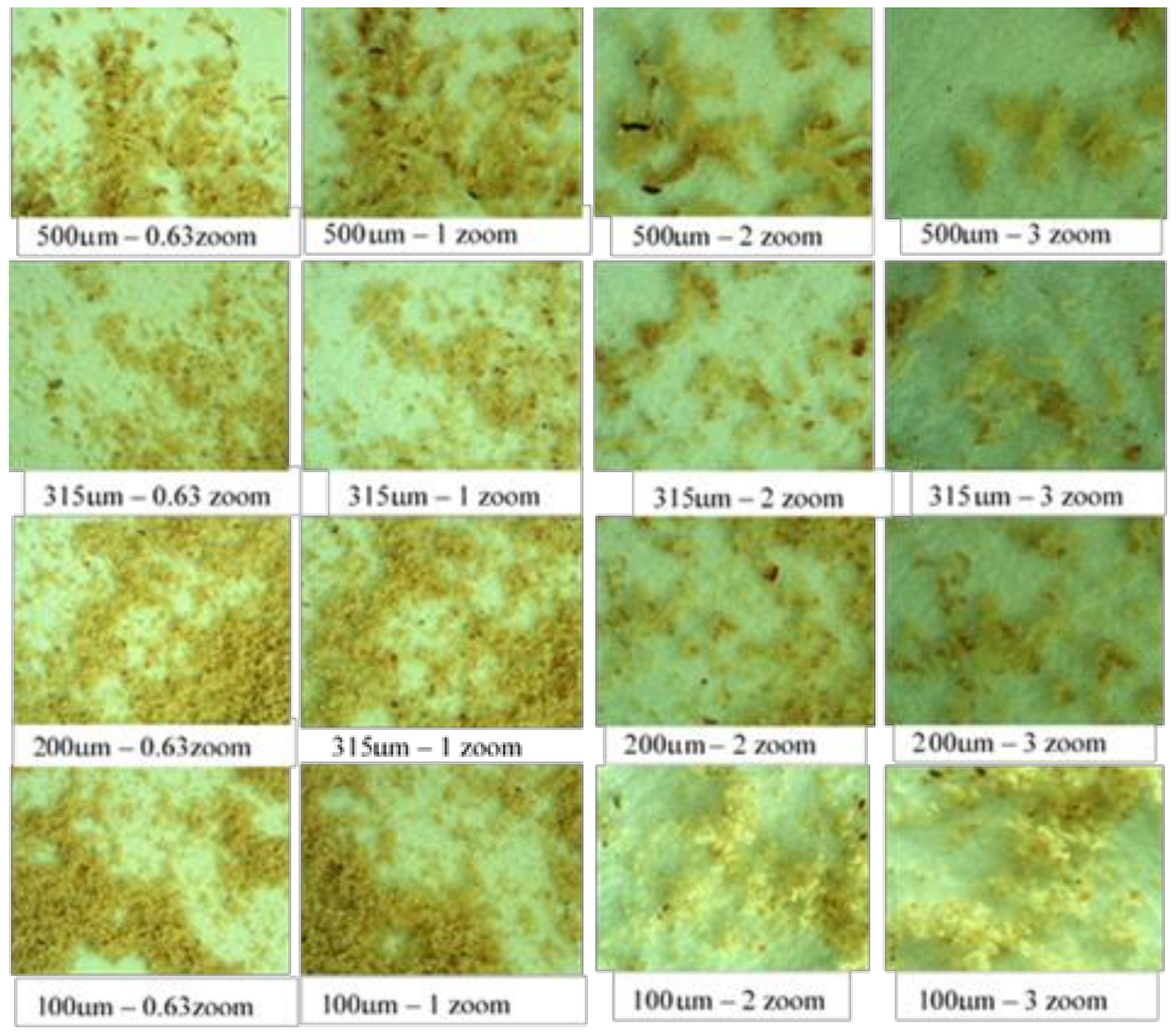 Applsci 10 07608 g006