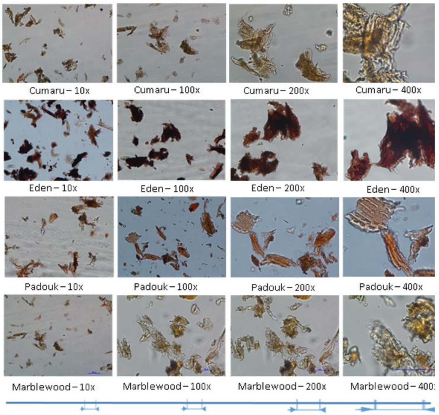 Applsci 10 07608 g007