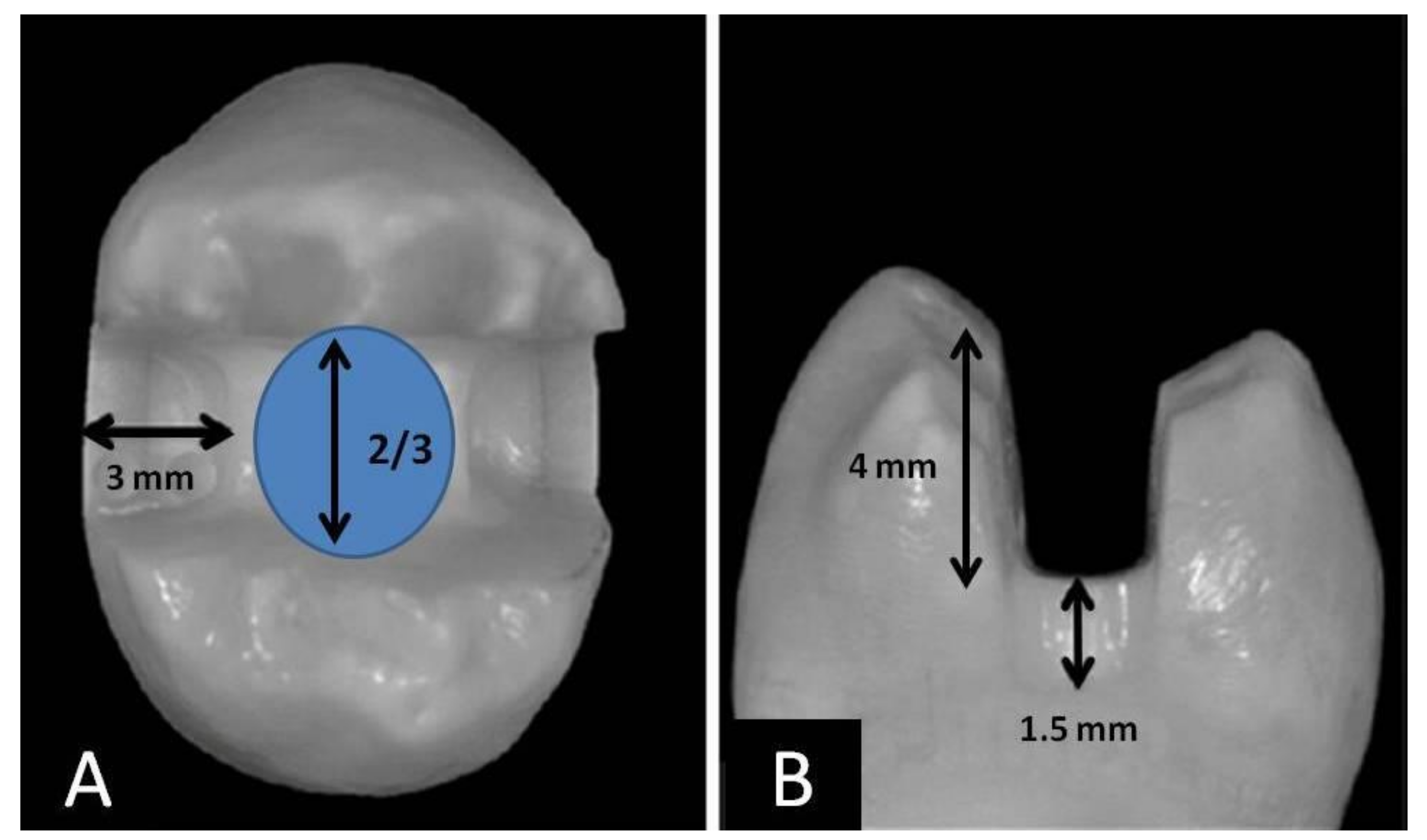 Applsci 10 07616 g002