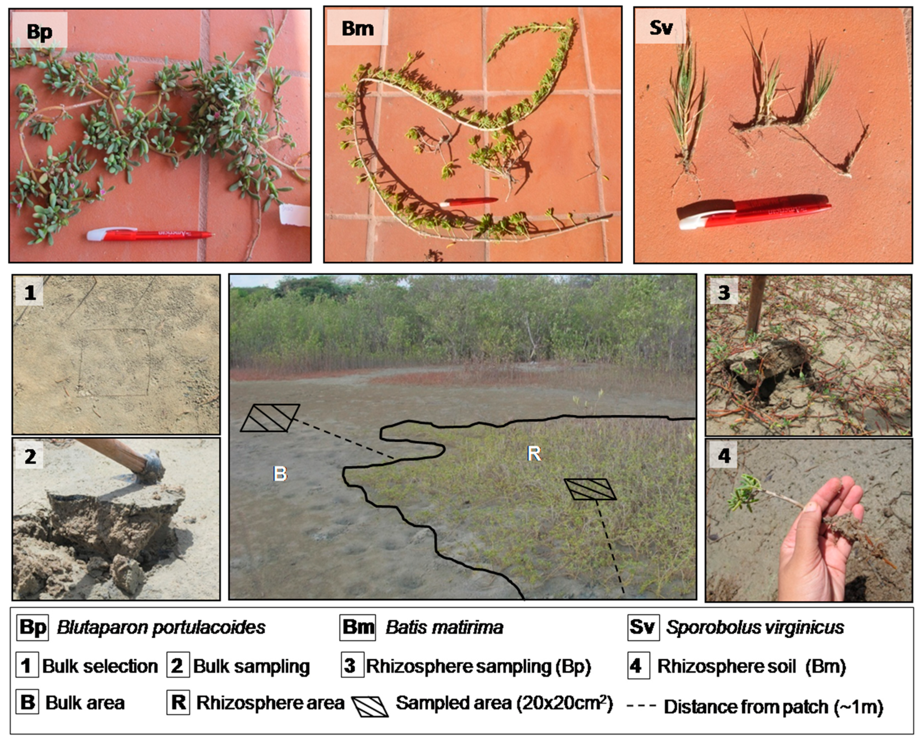 Applsci 10 07624 g002 Applsci 10 07624 g002