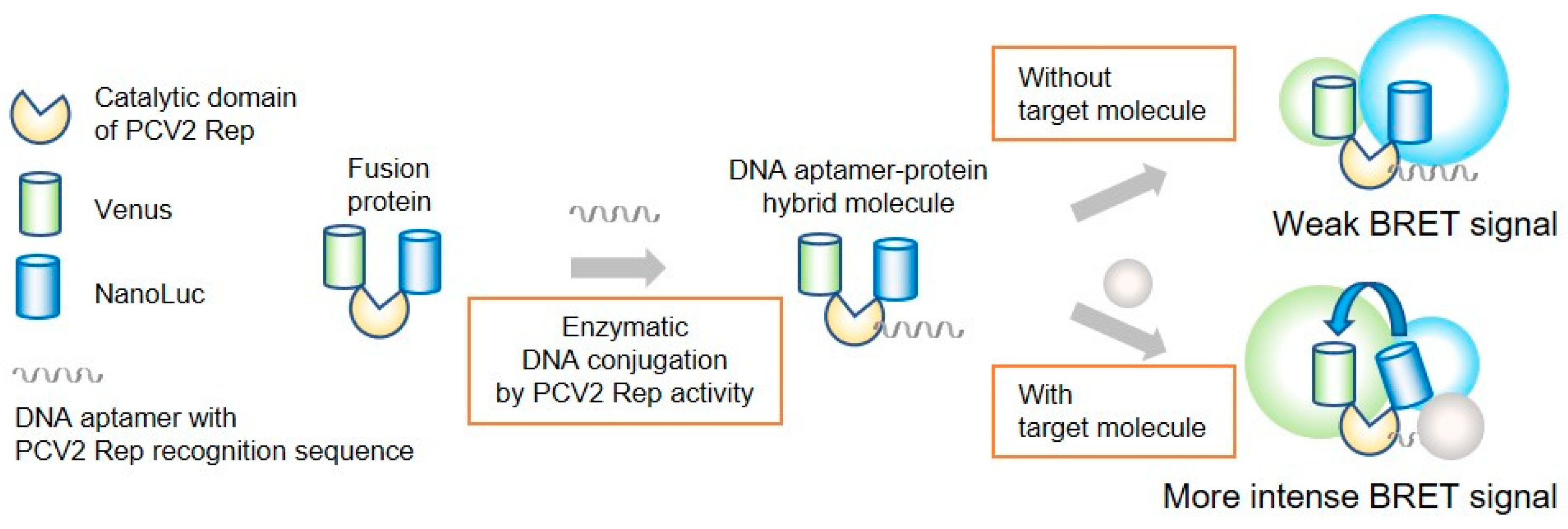 Applsci 10 07646 g001