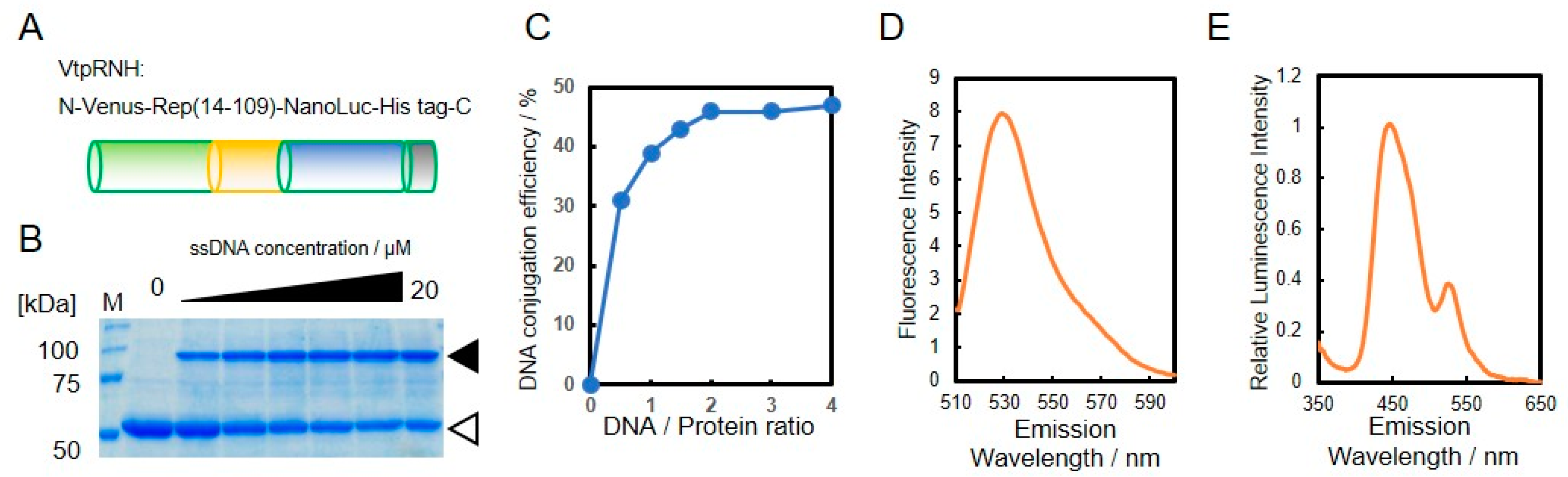 Applsci 10 07646 g003