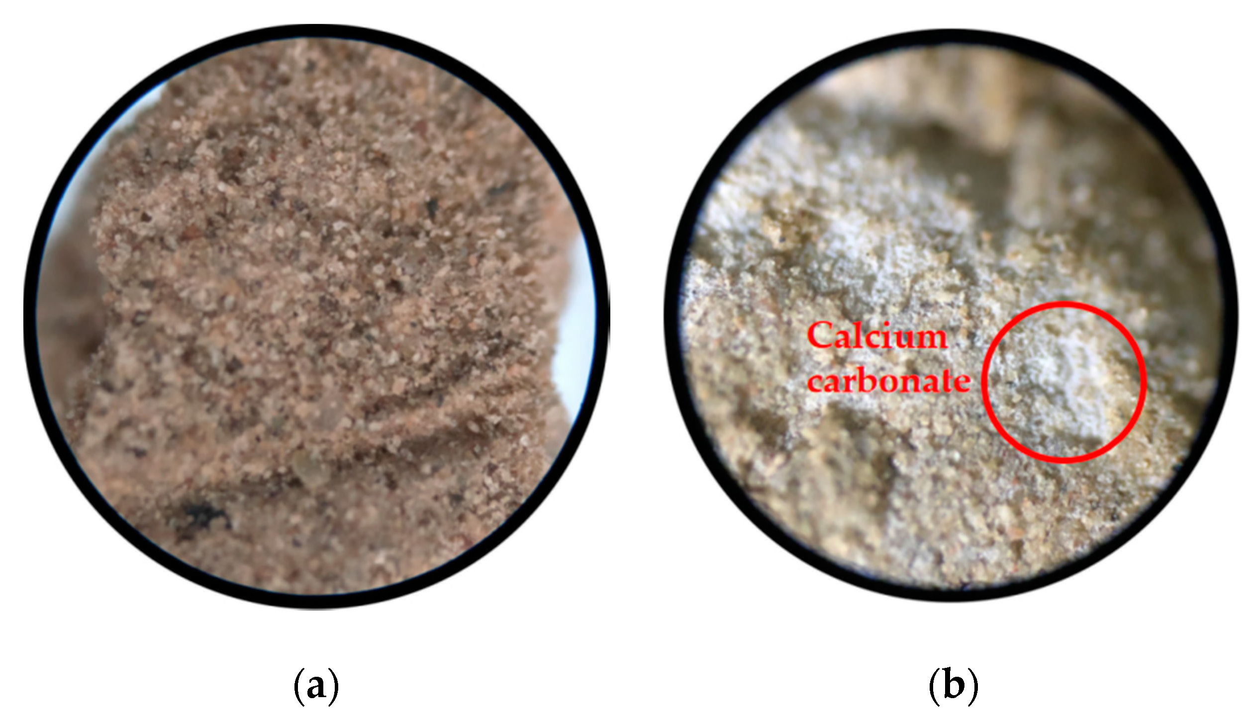 Applsci 10 07678 g010