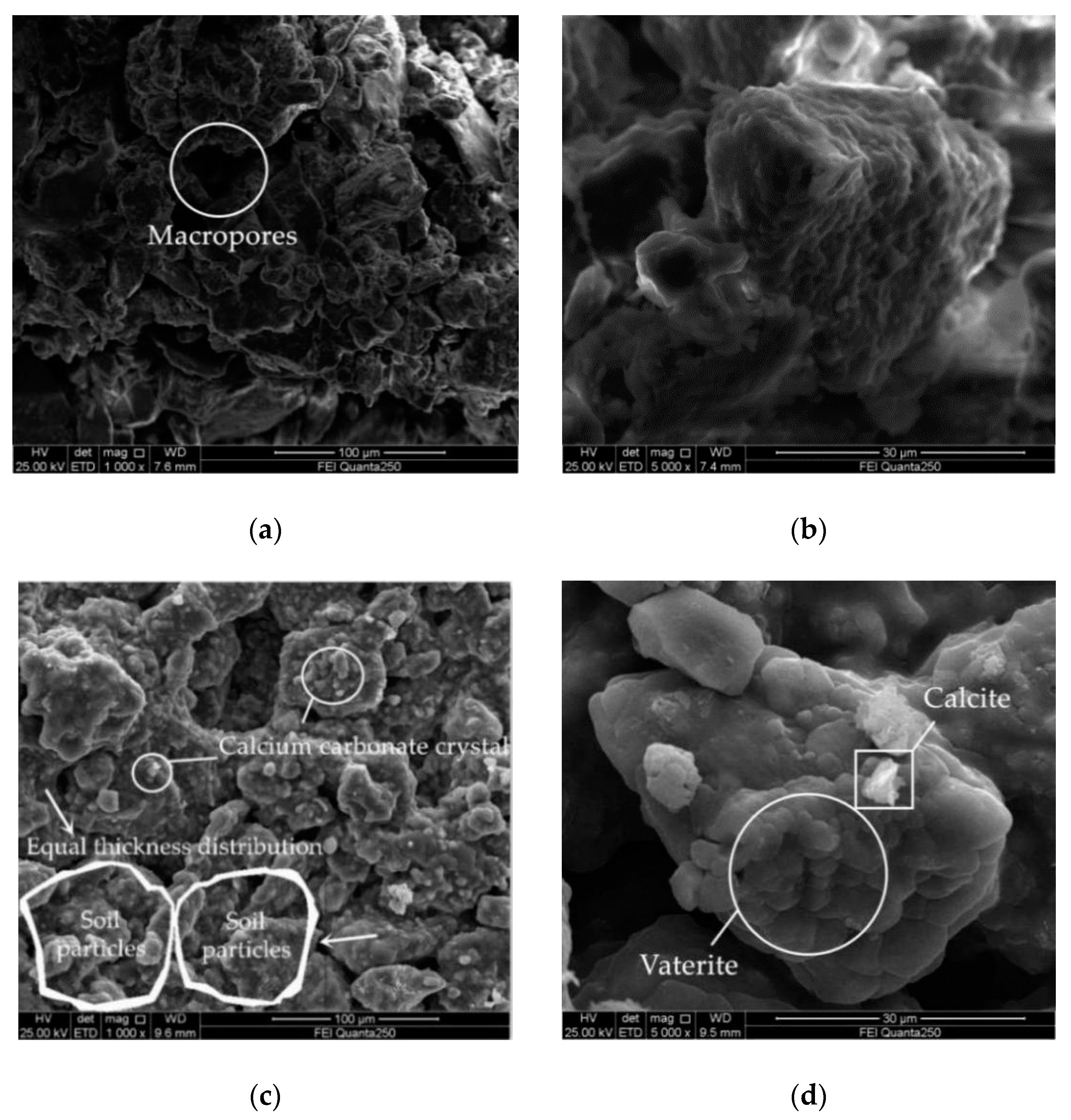 Applsci 10 07678 g012a