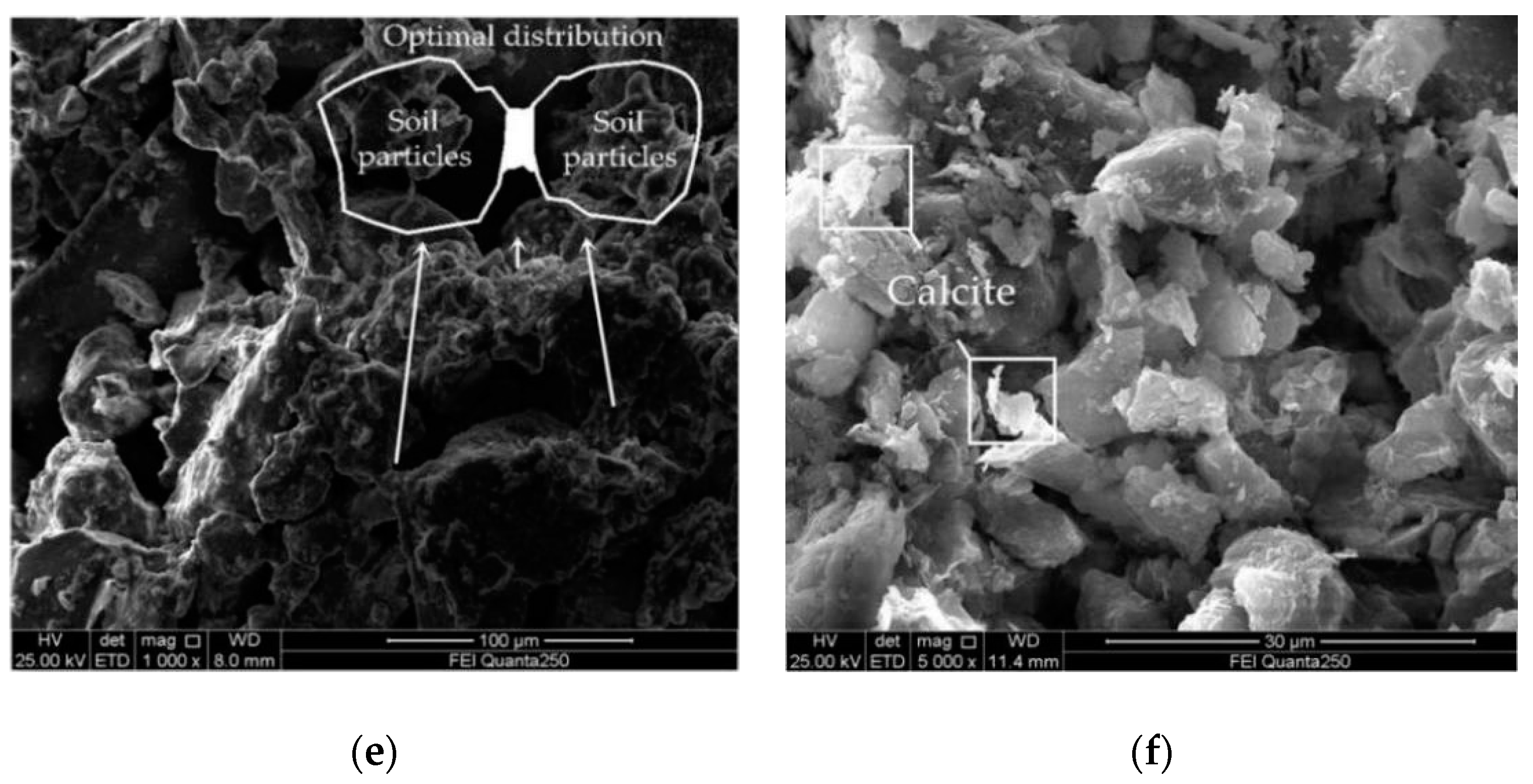 Applsci 10 07678 g012b