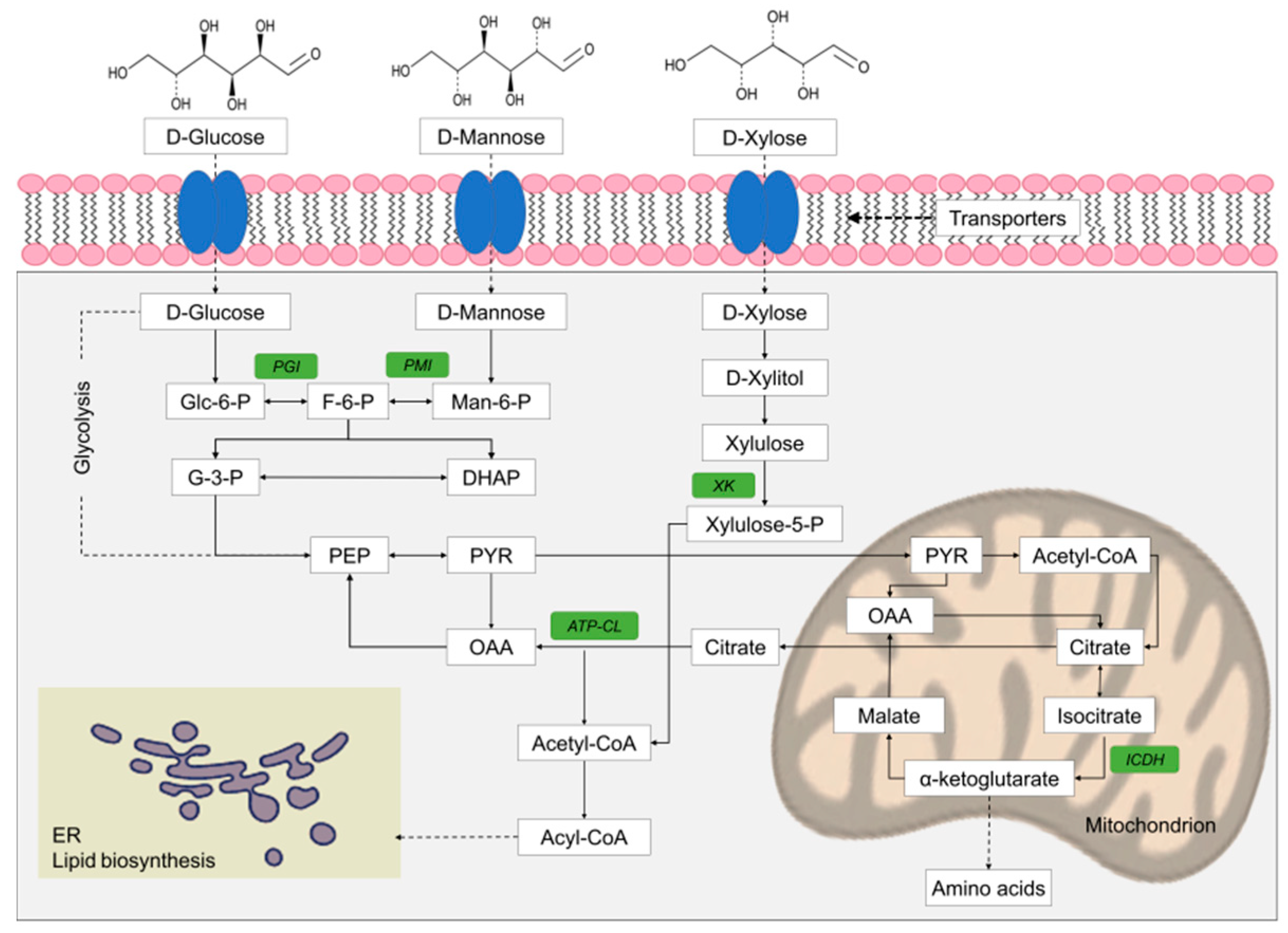 Applsci 10 07698 g002