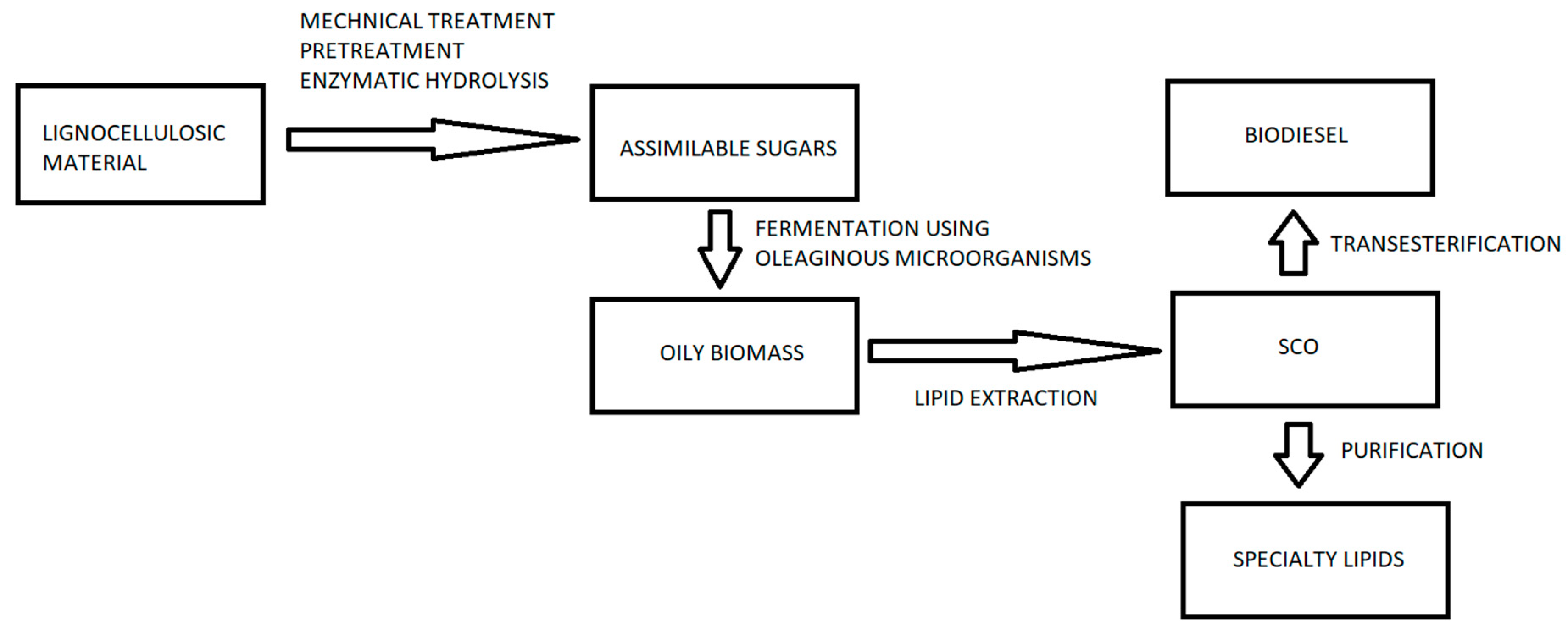 Applsci 10 07698 g003