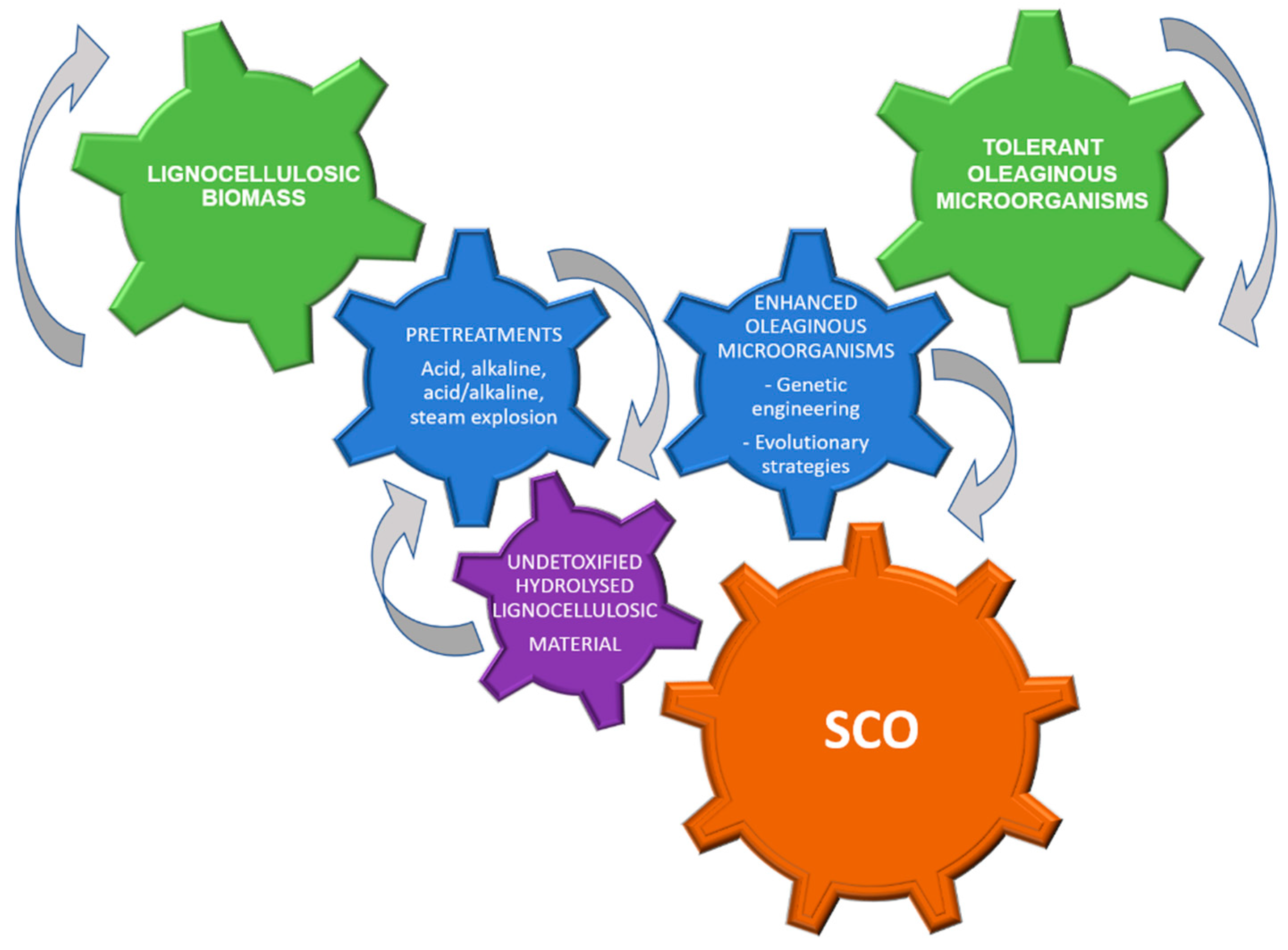 Applsci 10 07698 g004