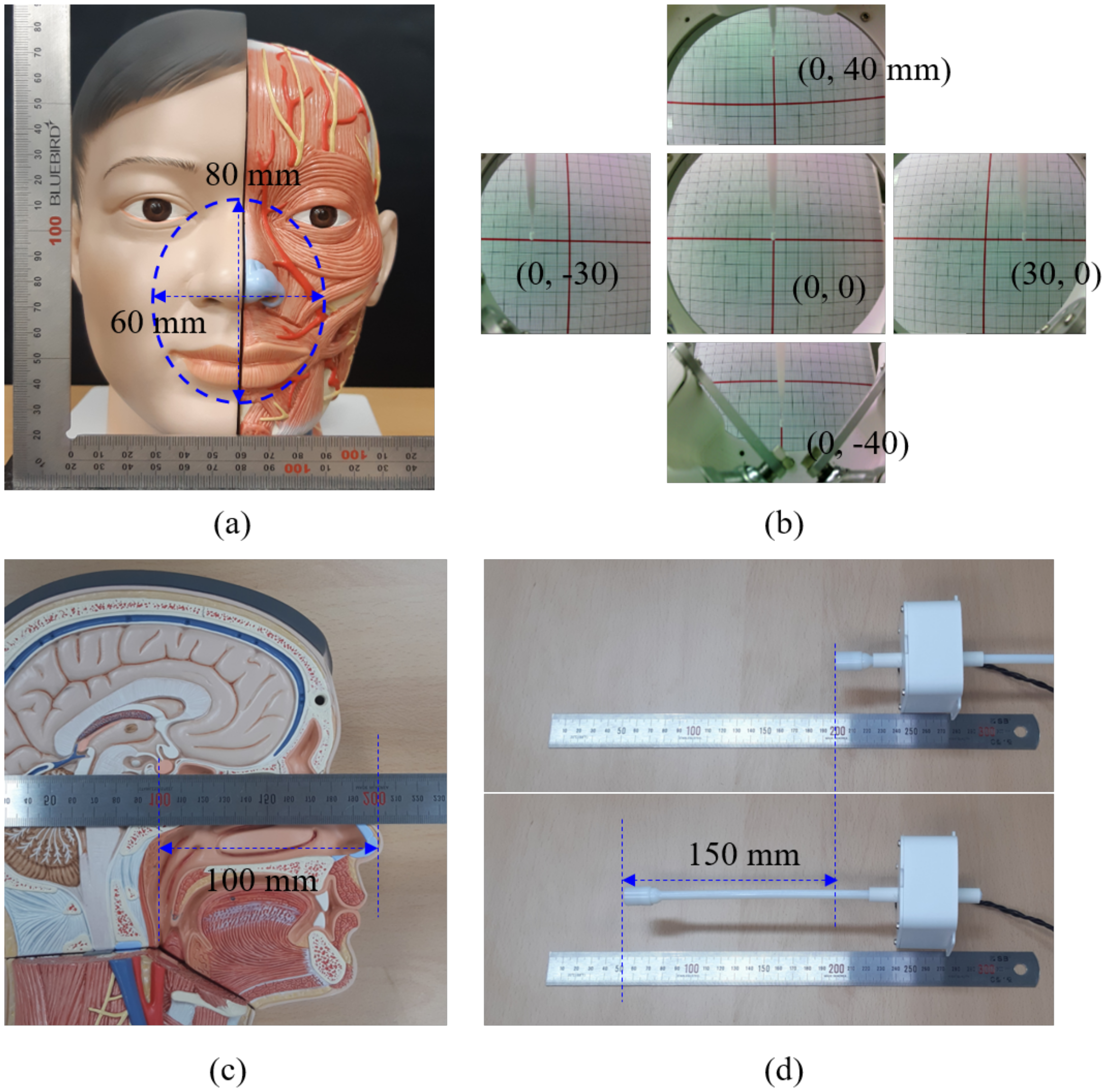 Applsci 10 07707 g007