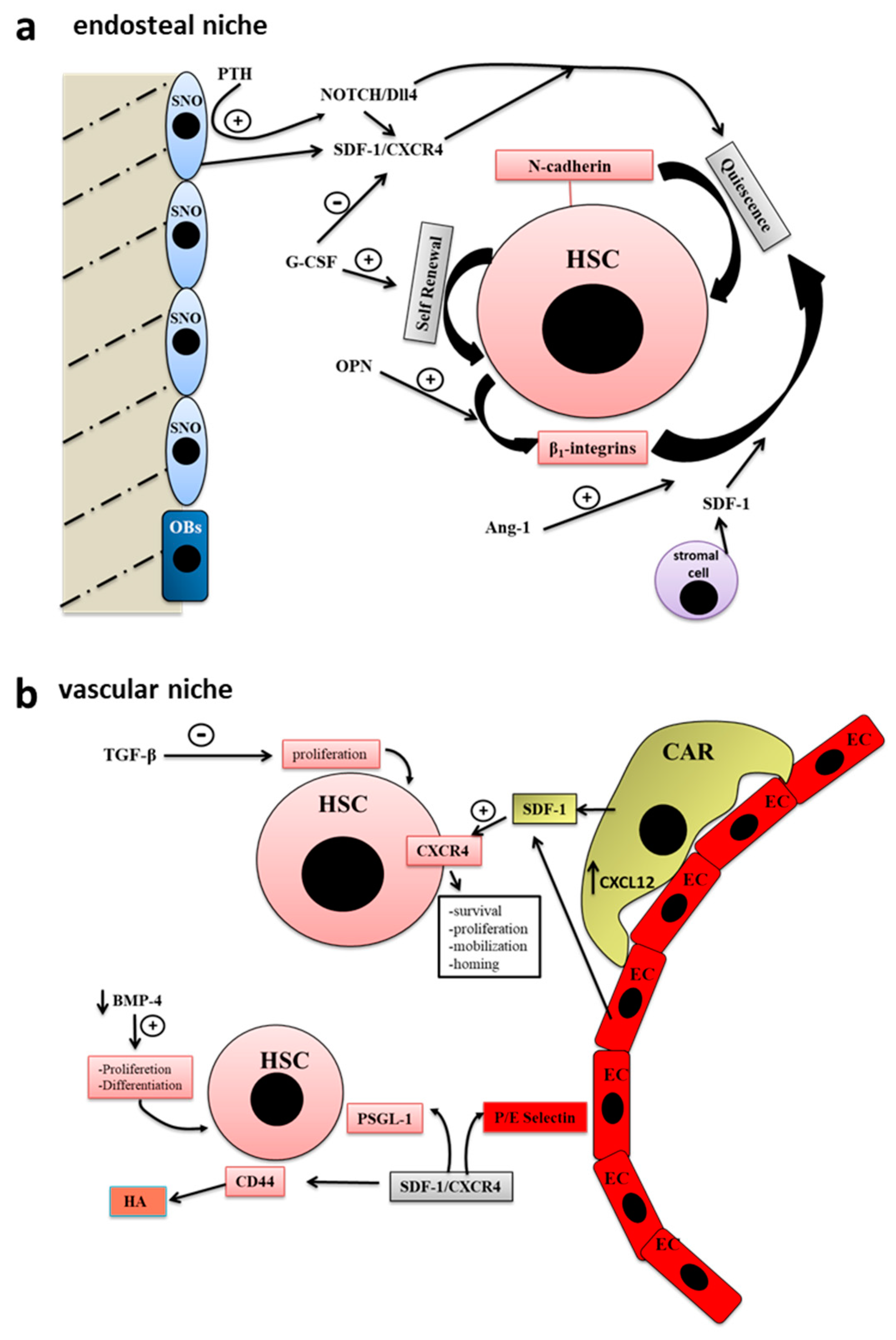 Applsci 10 07713 g001