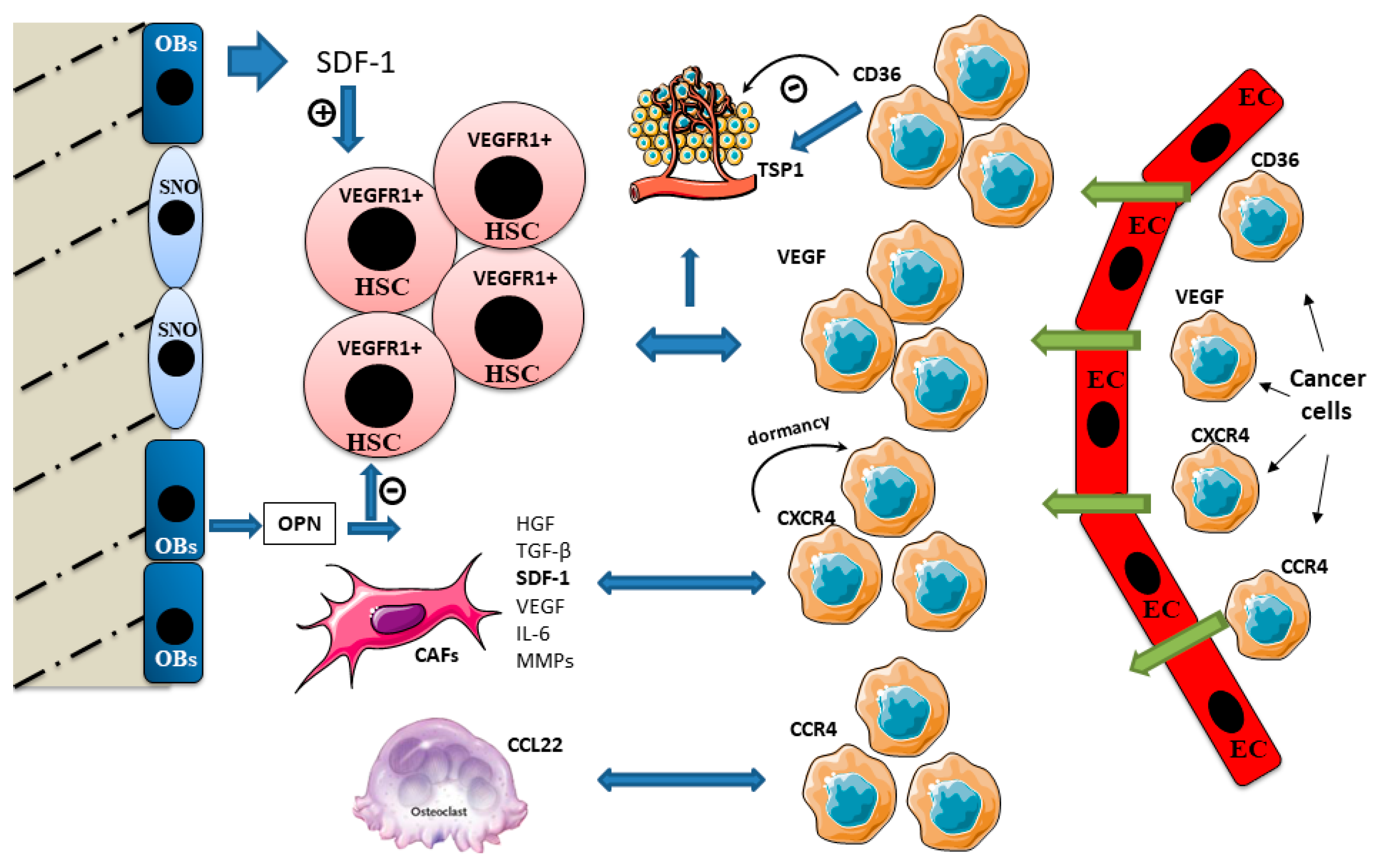 Applsci 10 07713 g002