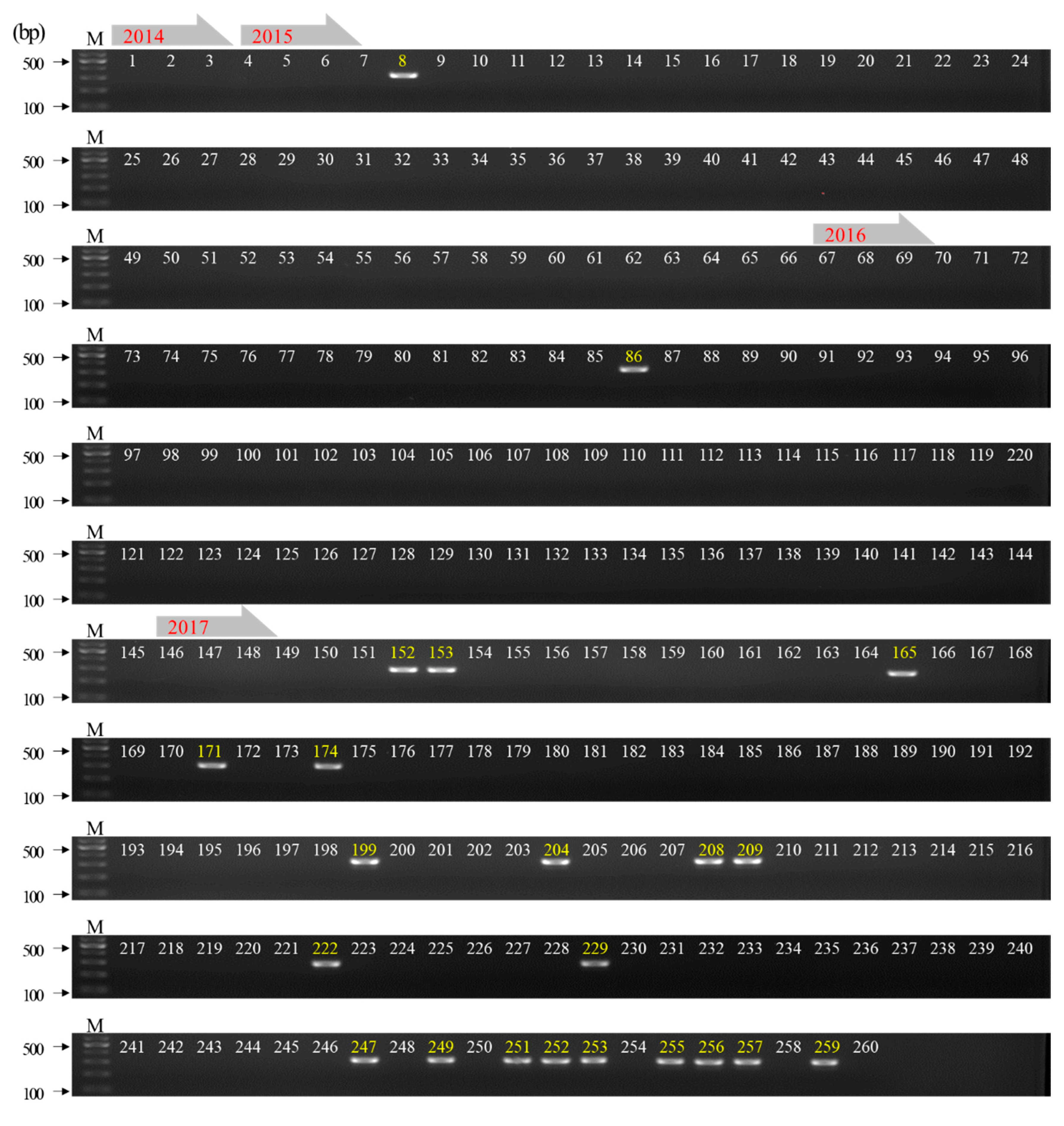 Applsci 10 07721 g004
