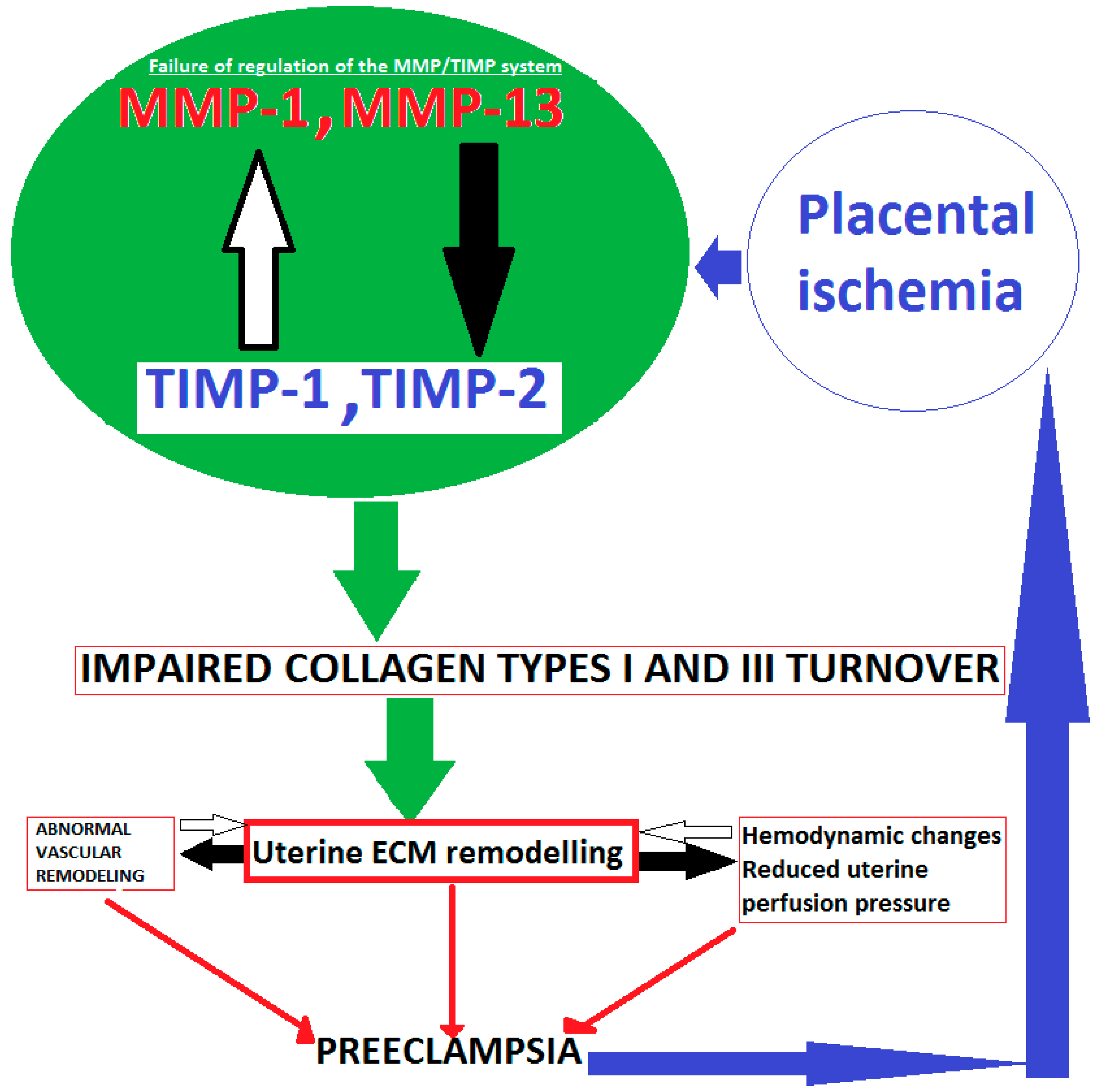 Applsci 10 07731 g001 Applsci 10 07731 g001