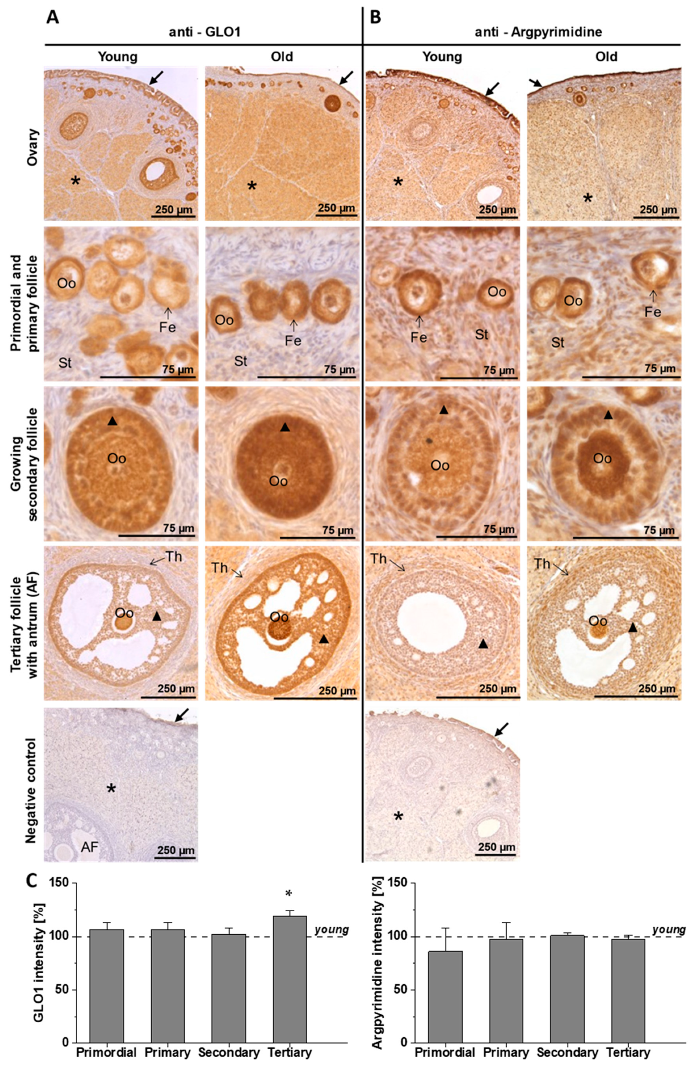 Applsci 10 07732 g002