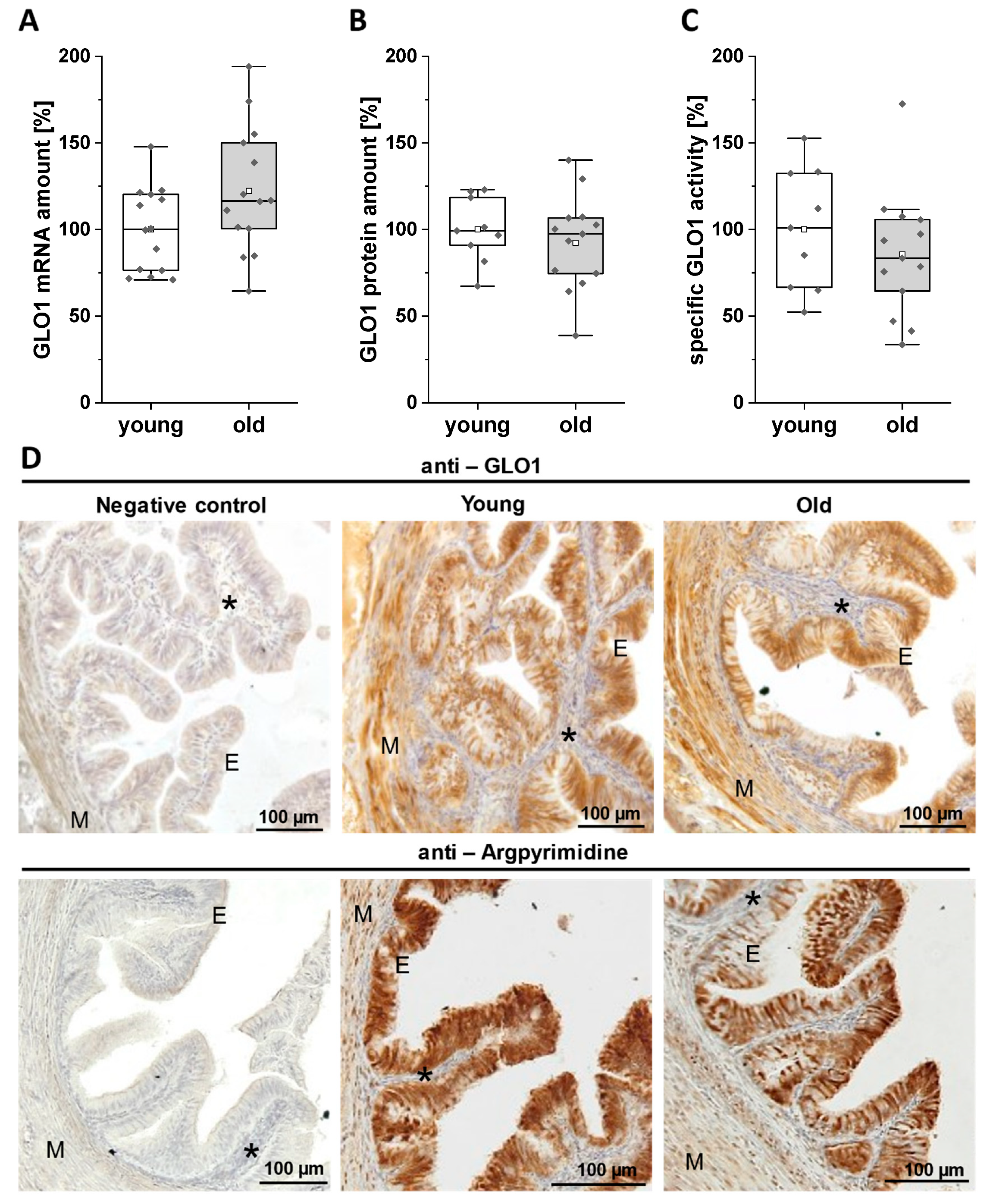 Applsci 10 07732 g003