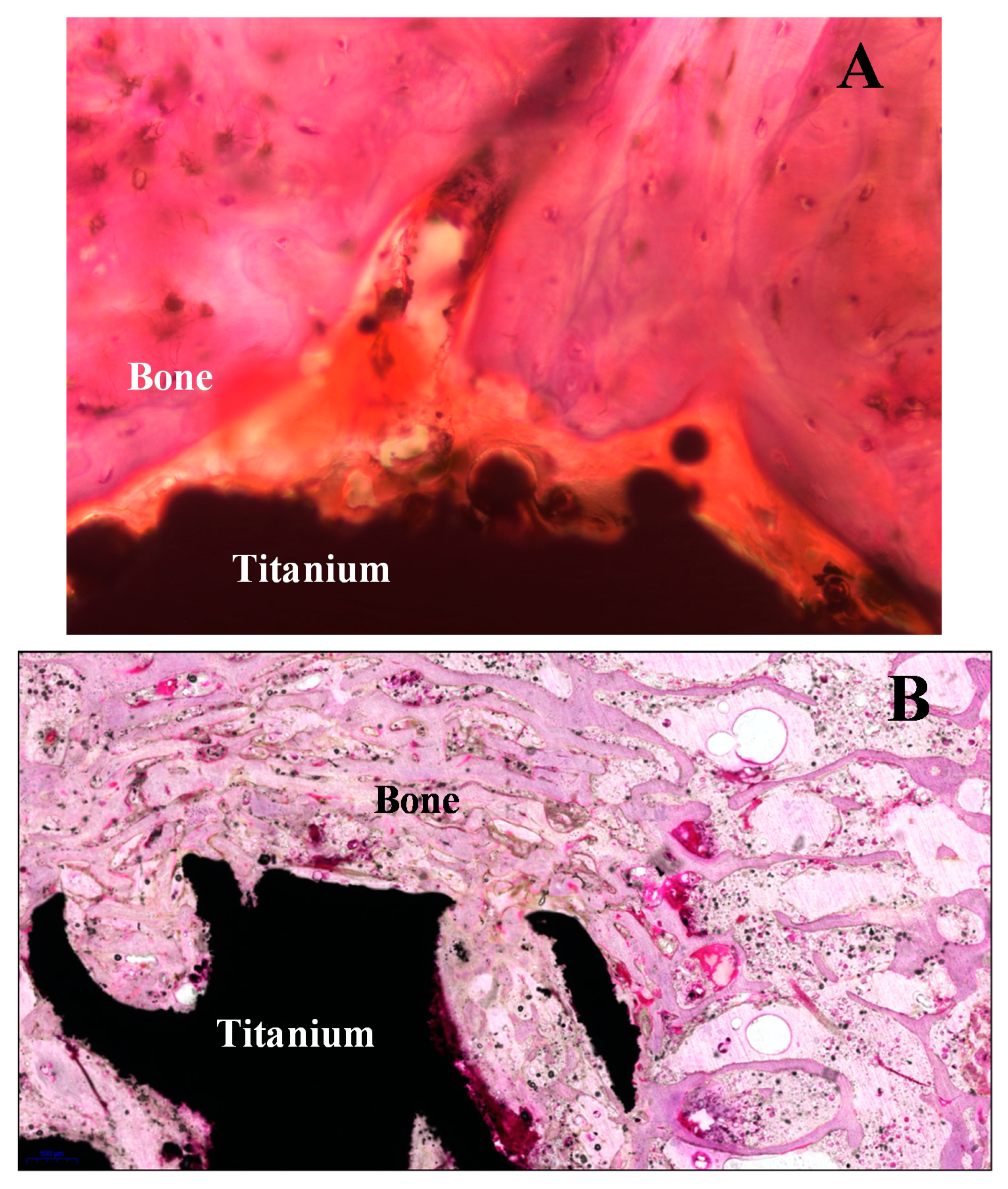 Applsci 10 07742 g010 Applsci 10 07742 g010