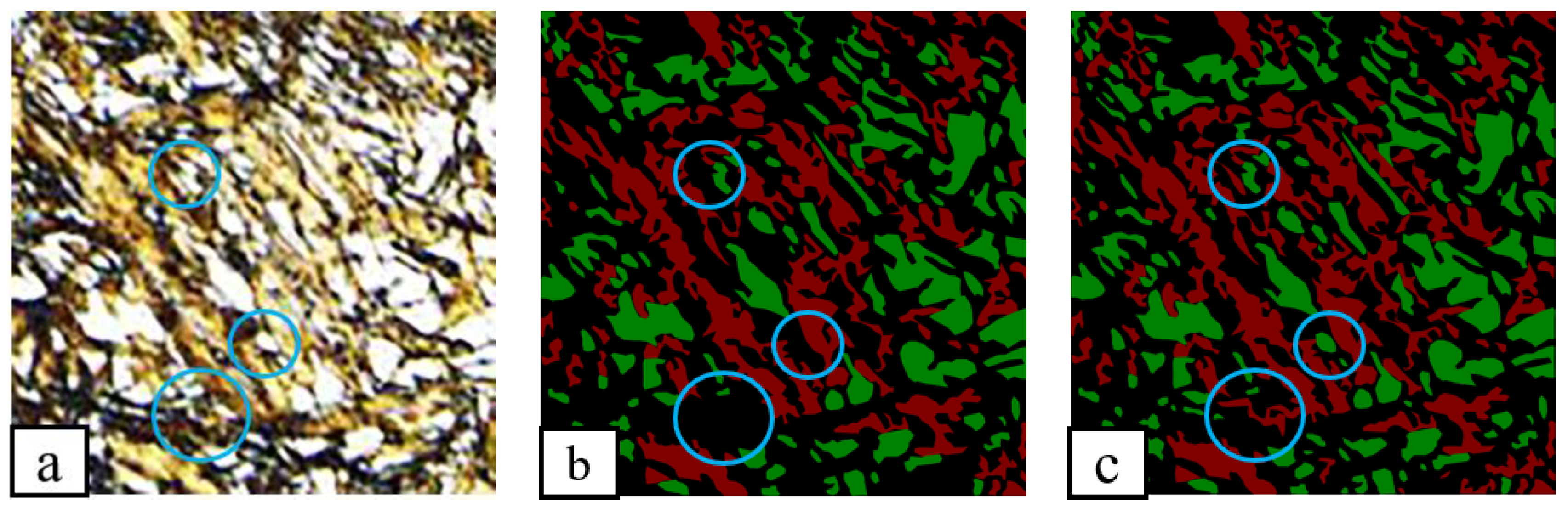 Applsci 10 07759 g005 Applsci 10 07759 g005