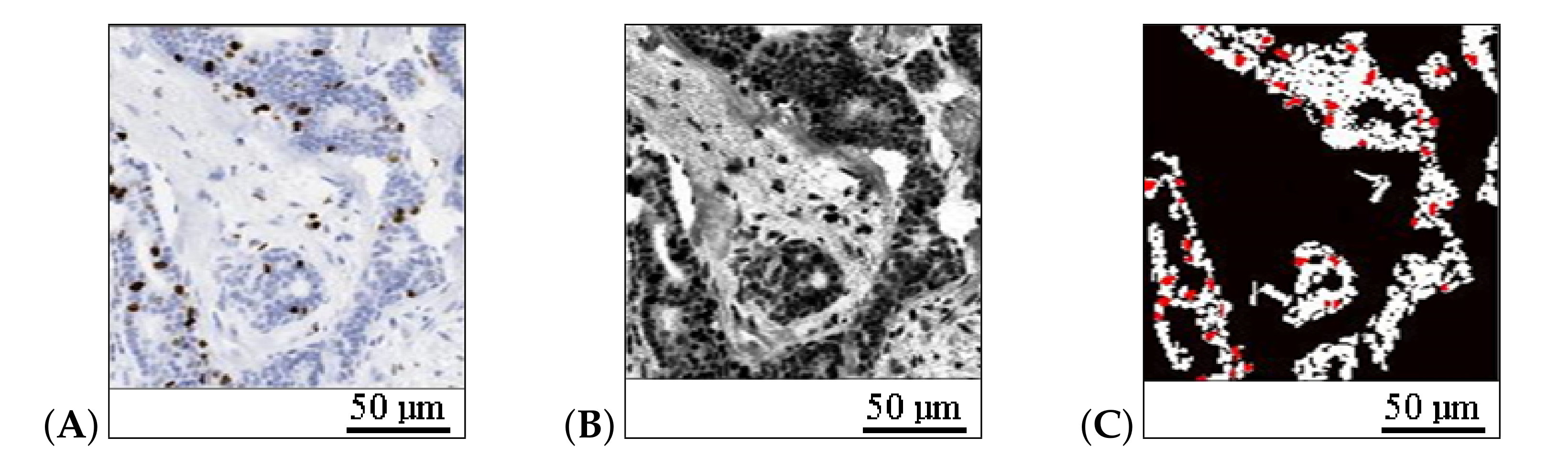 Applsci 10 07761 g006