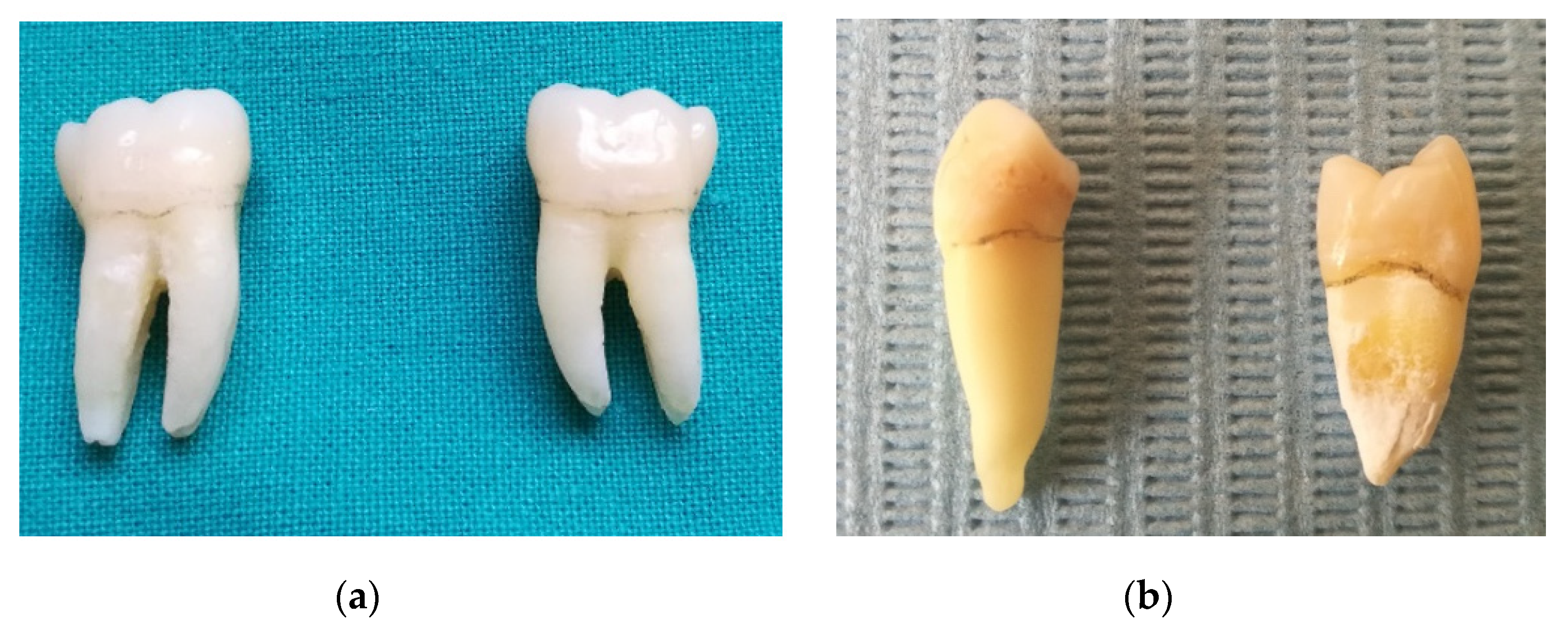 Applsci 10 07762 g001 Applsci 10 07762 g001