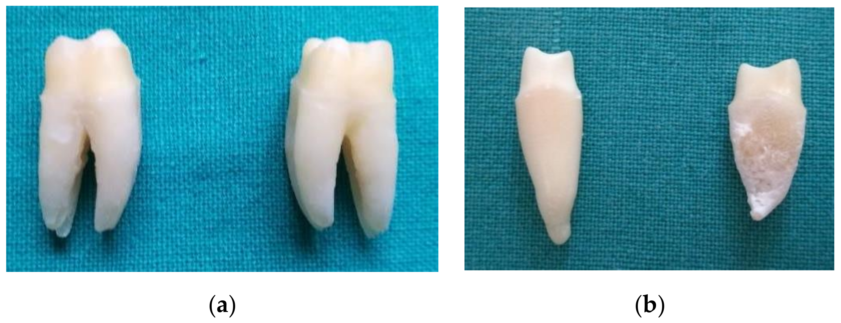 Applsci 10 07762 g002 Applsci 10 07762 g002