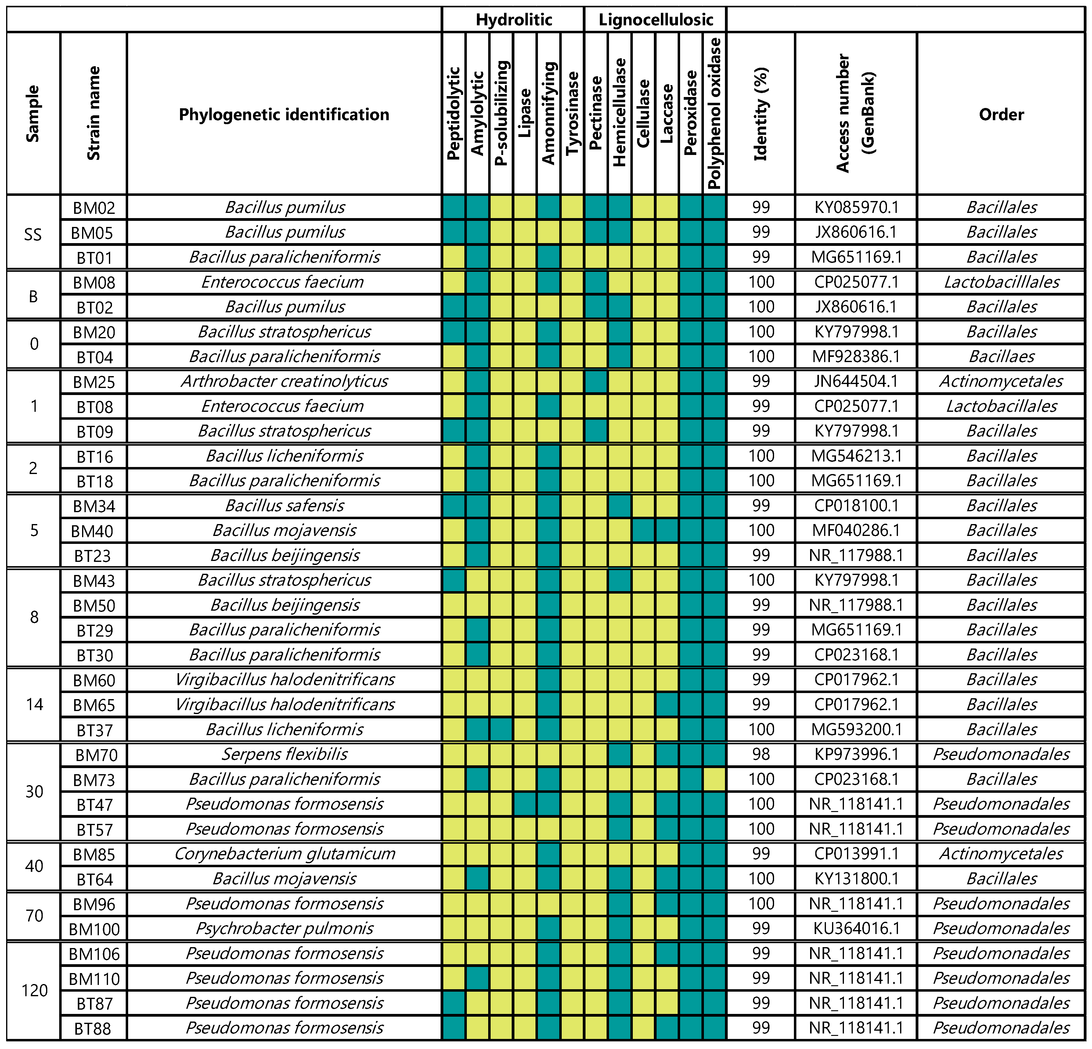 Applsci 10 07763 g004