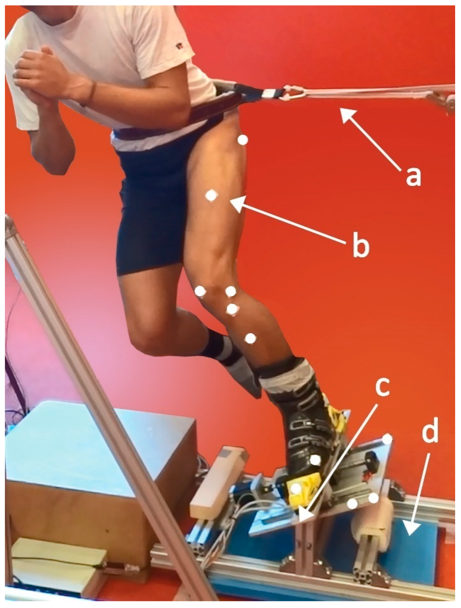 Applsci 10 07766 g001