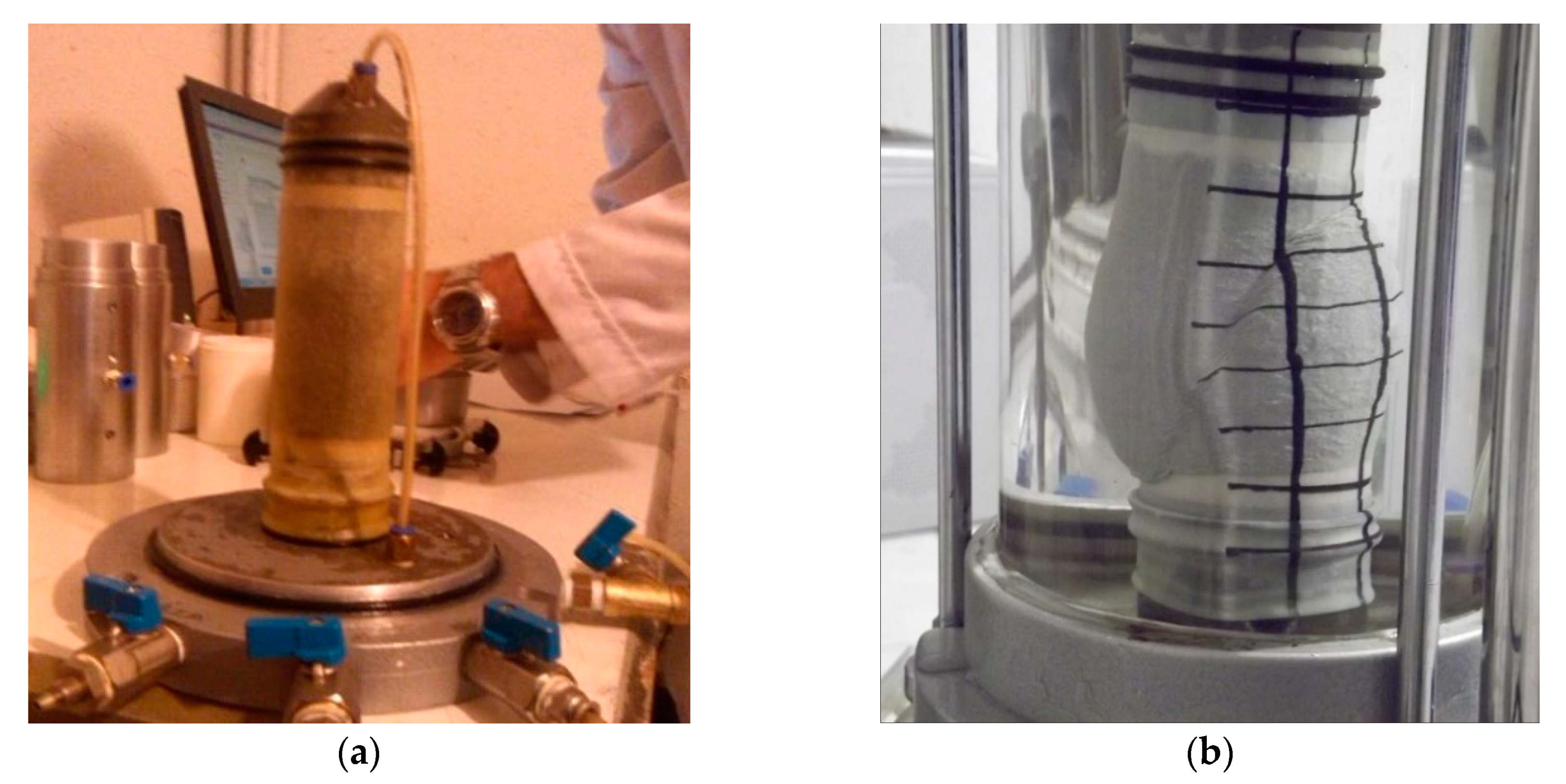 Applsci 10 07772 g006