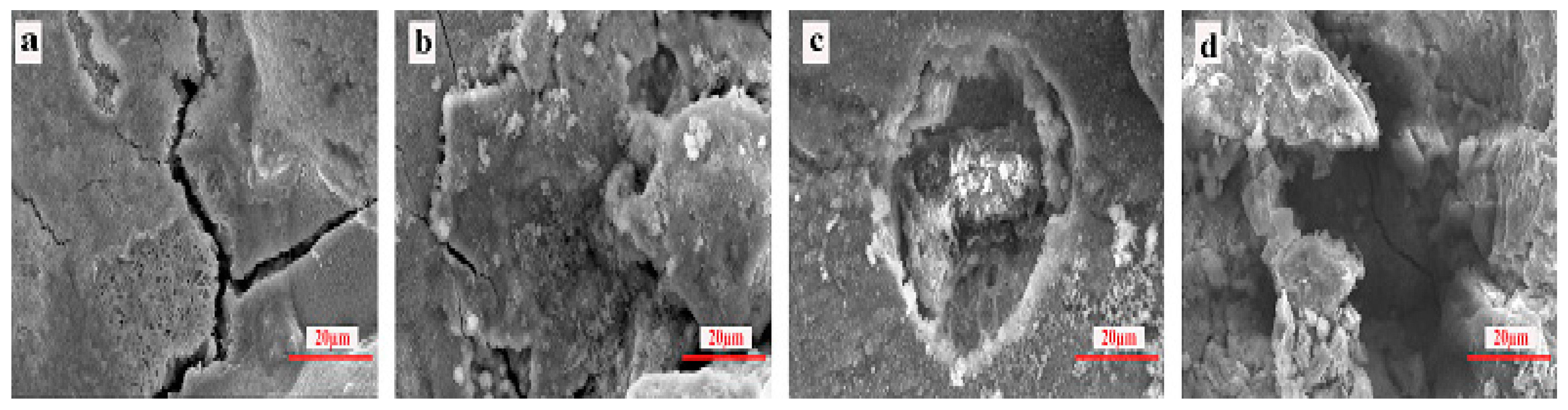 Applsci 10 07776 g009 Applsci 10 07776 g009