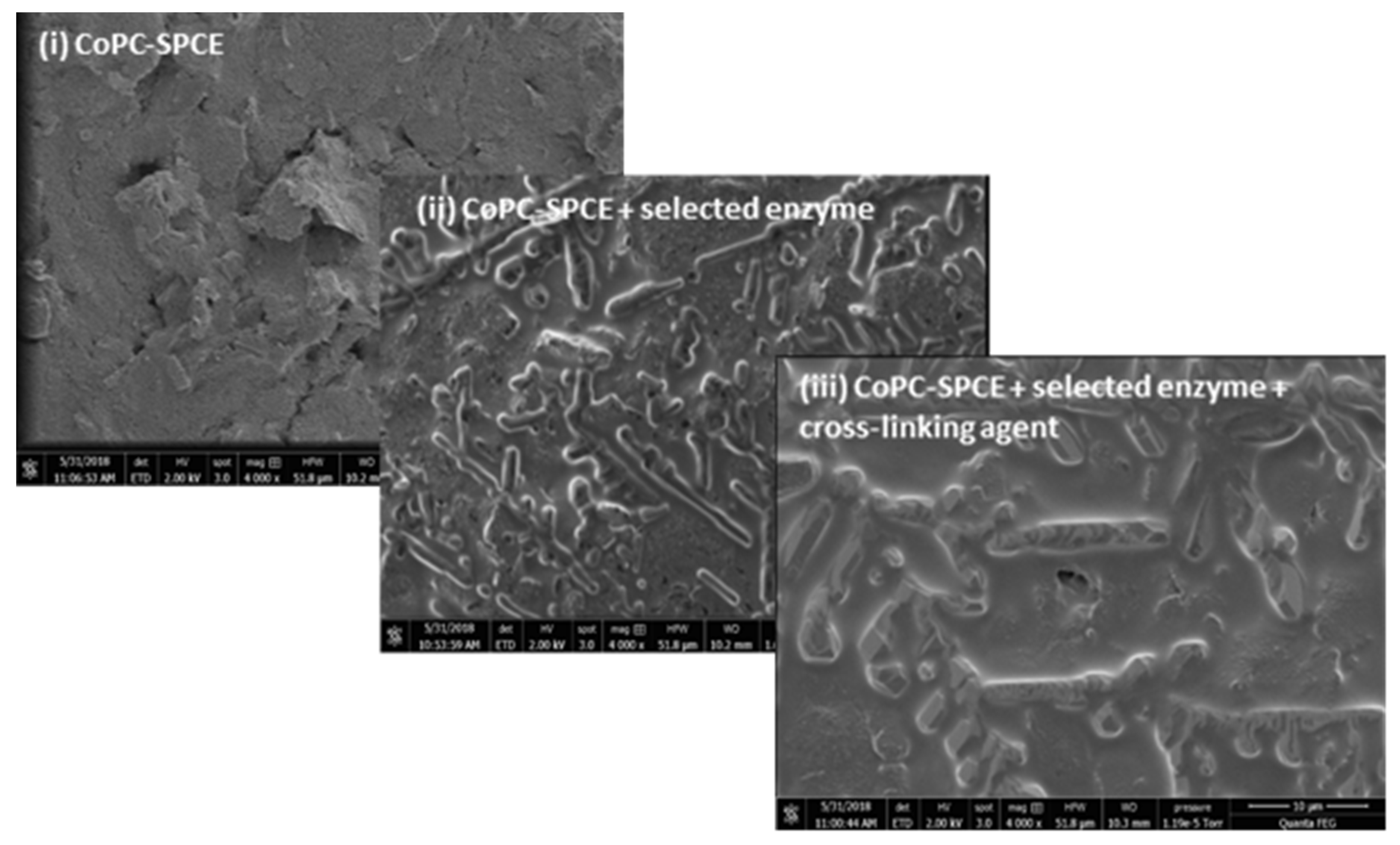 Applsci 10 07779 g004