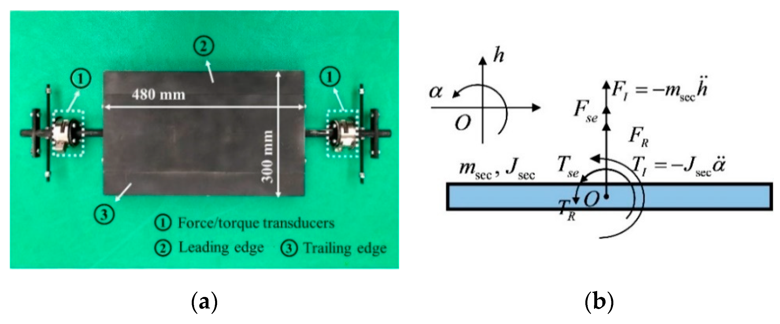 Applsci 10 07781 g003