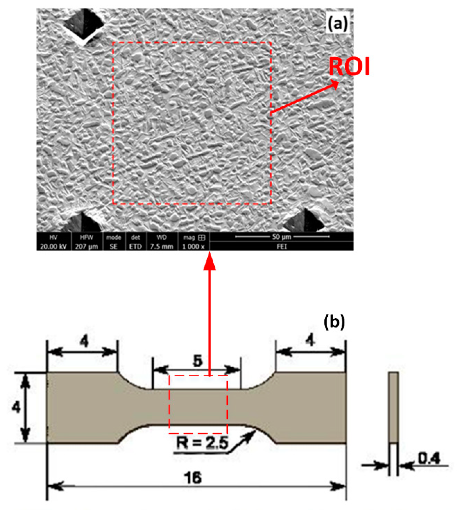 Applsci 10 07782 g001 Applsci 10 07782 g001