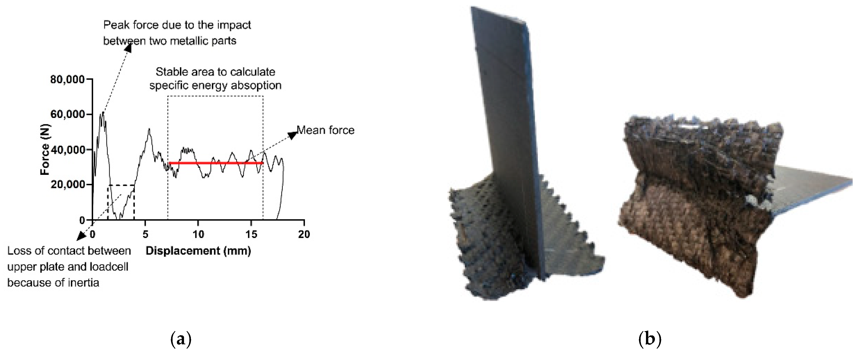 Applsci 10 07797 g010