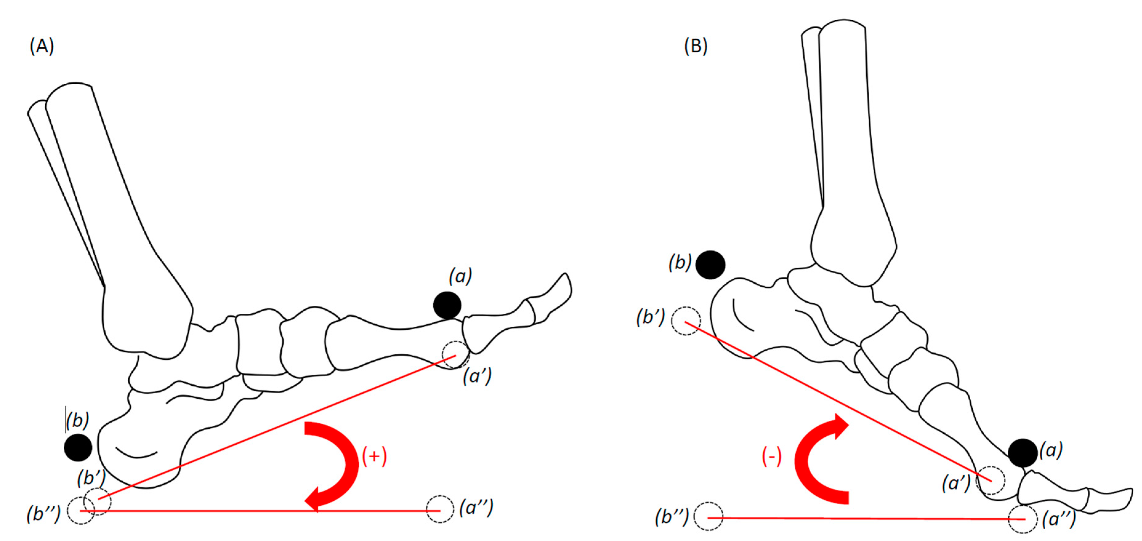 Applsci 10 07811 g003