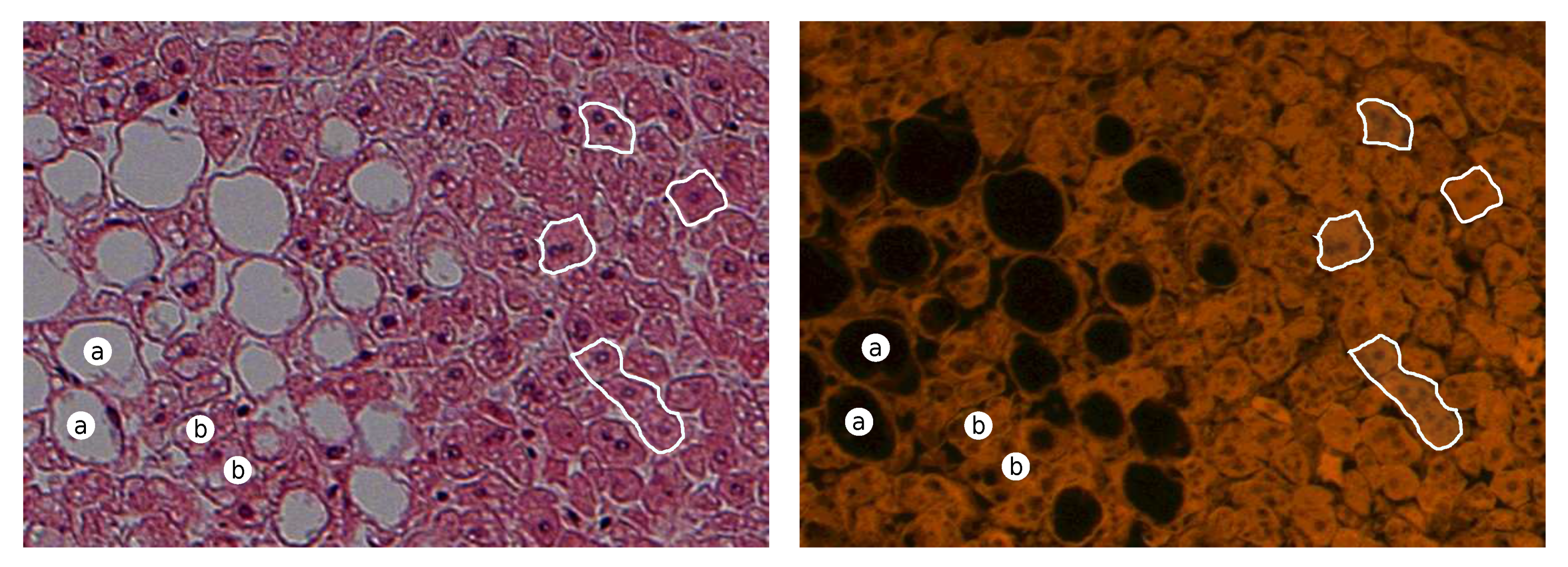 Applsci 10 07815 g003 Applsci 10 07815 g003