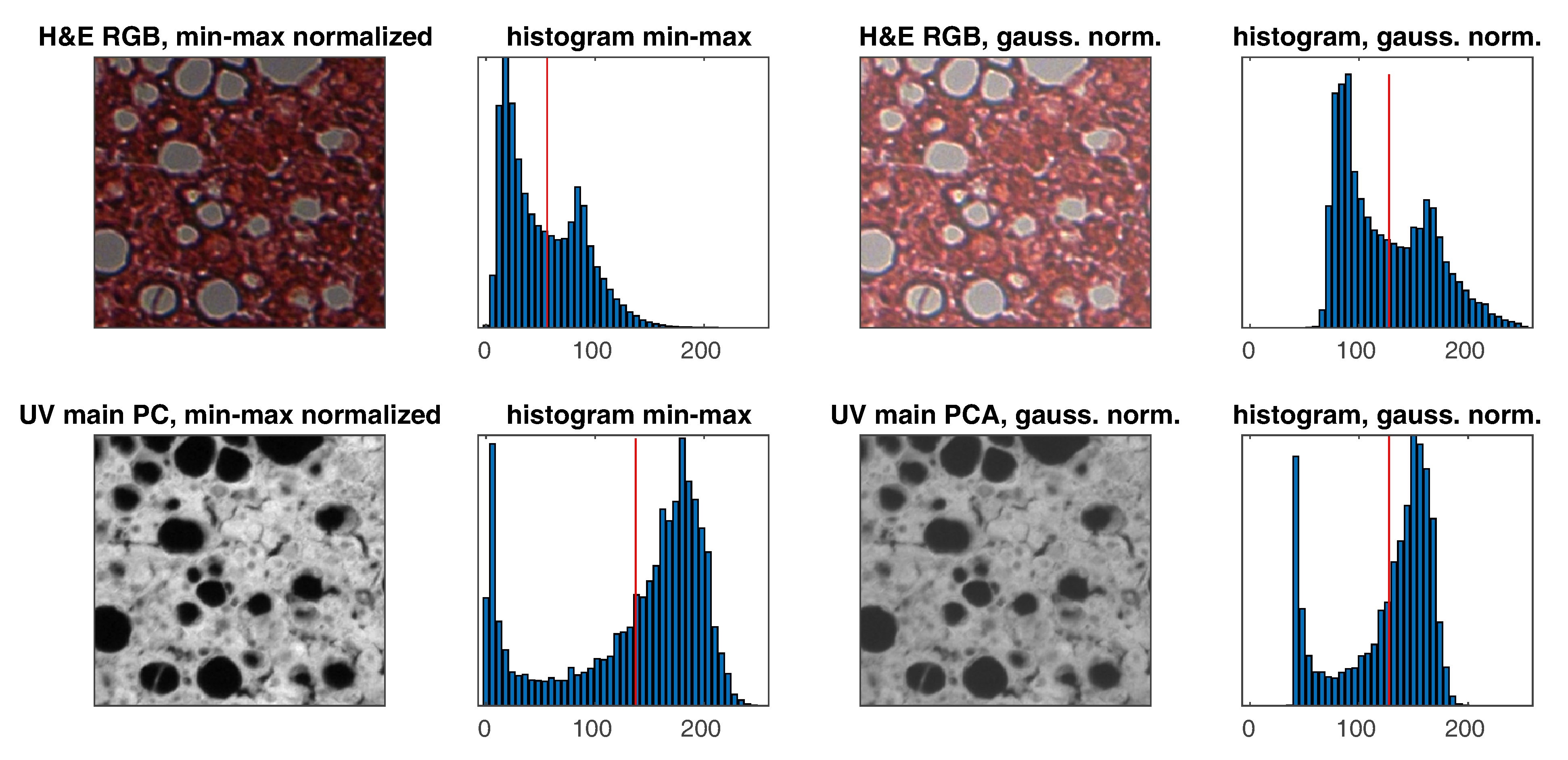 Applsci 10 07815 g005 Applsci 10 07815 g005