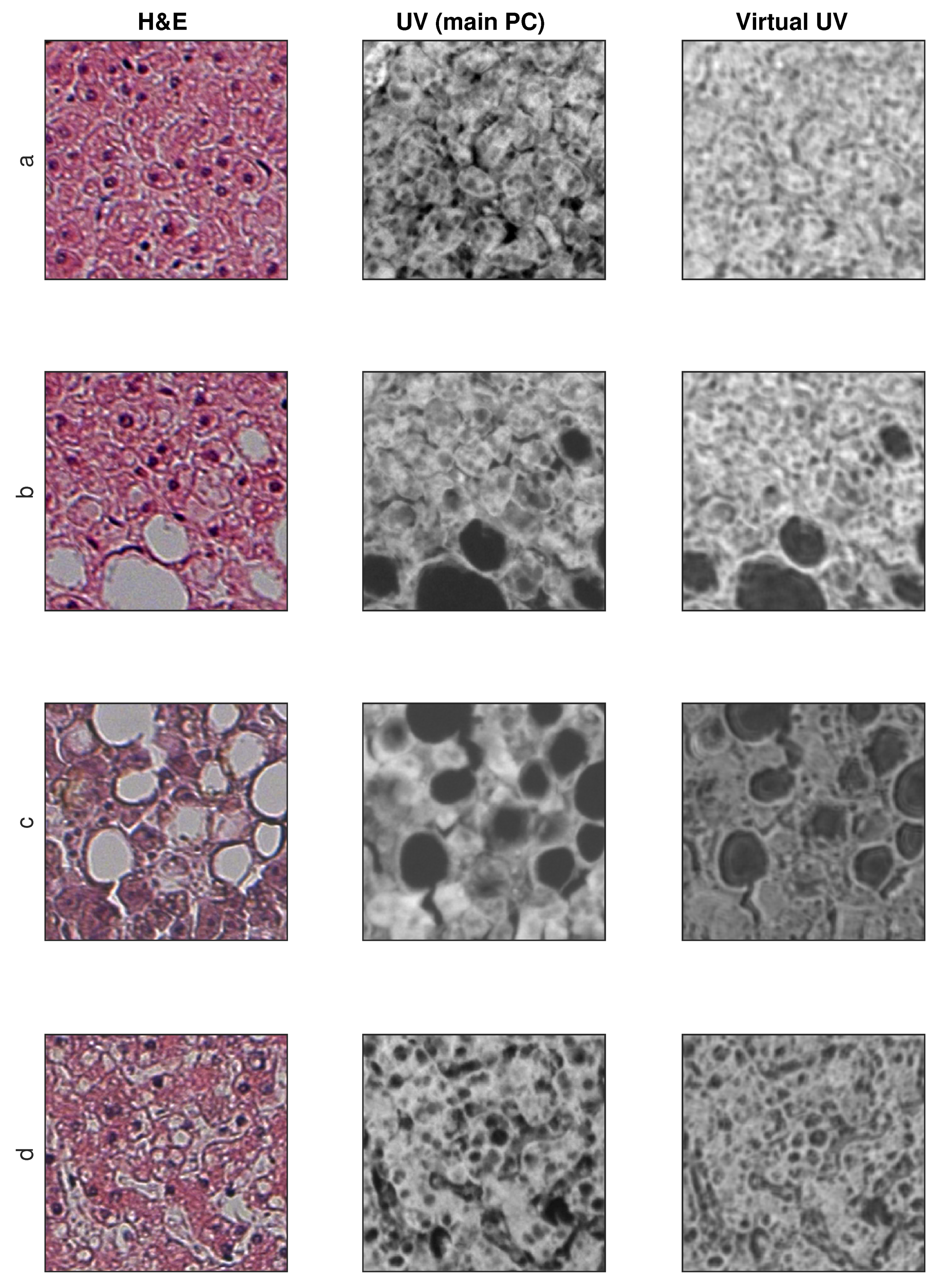 Applsci 10 07815 g009 Applsci 10 07815 g009