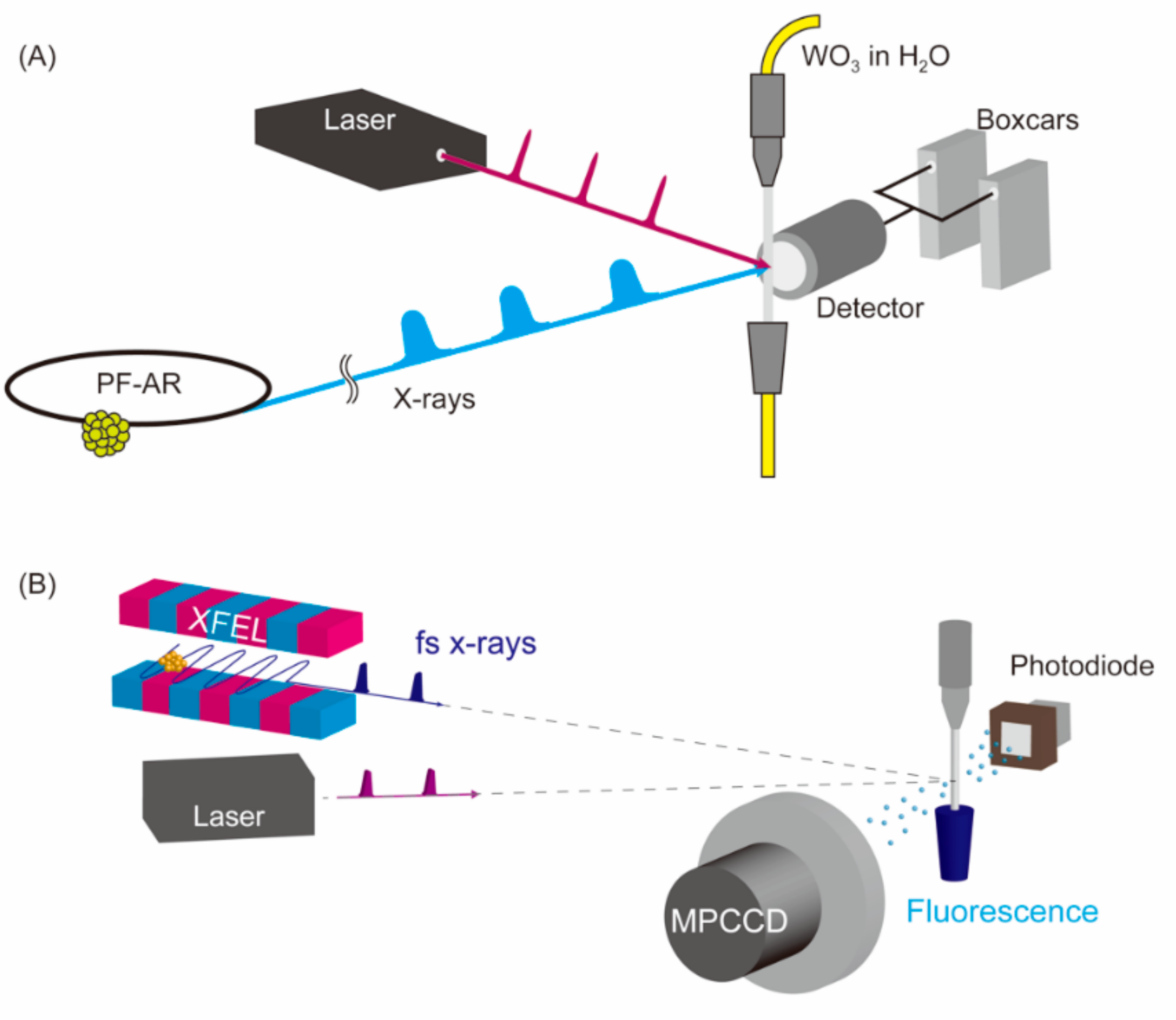 Applsci 10 07818 g001