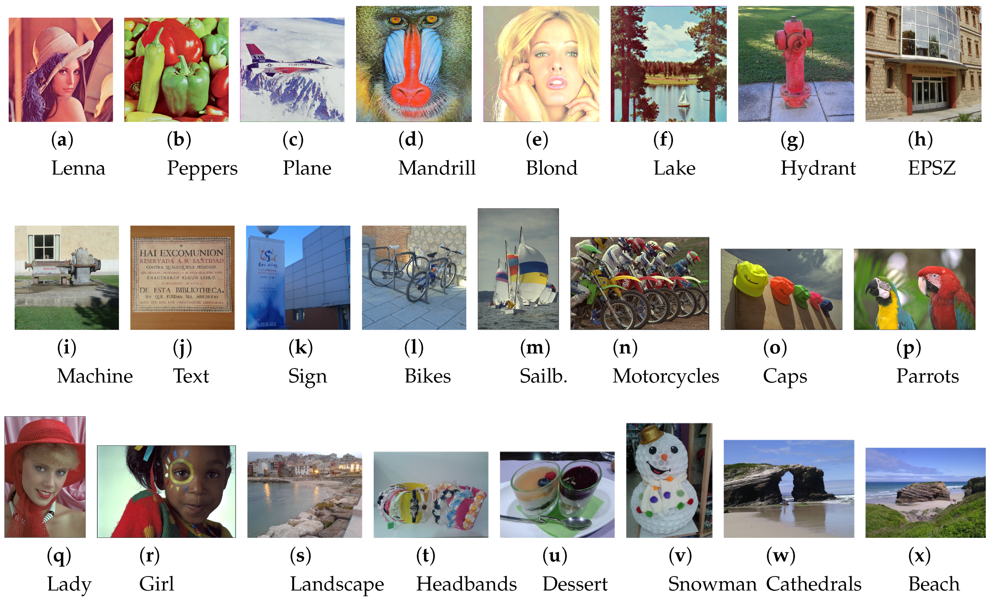 Applsci 10 07819 g001