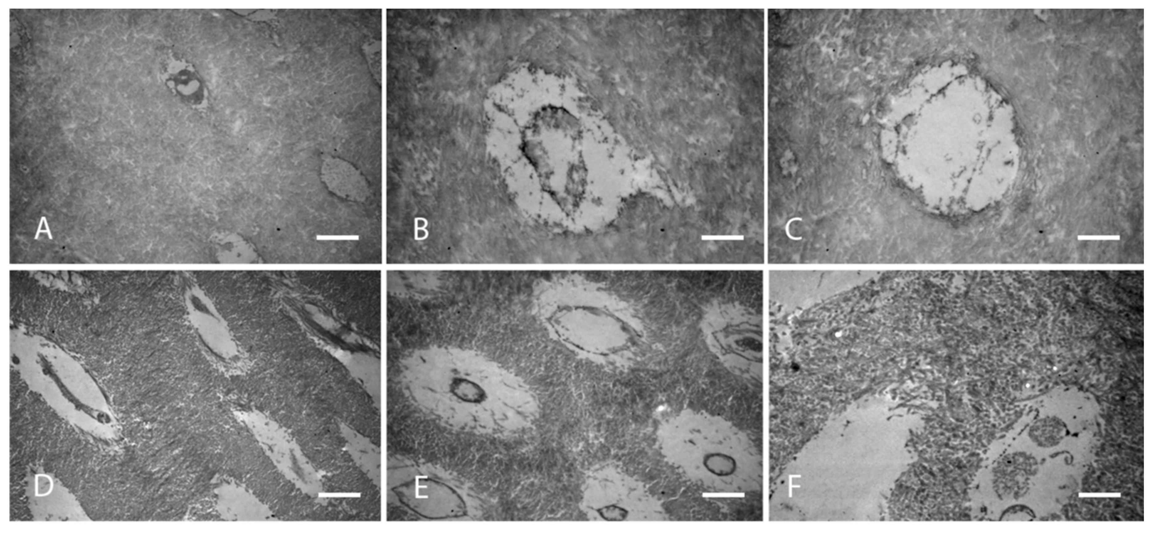 Applsci 10 07835 g004 Applsci 10 07835 g004