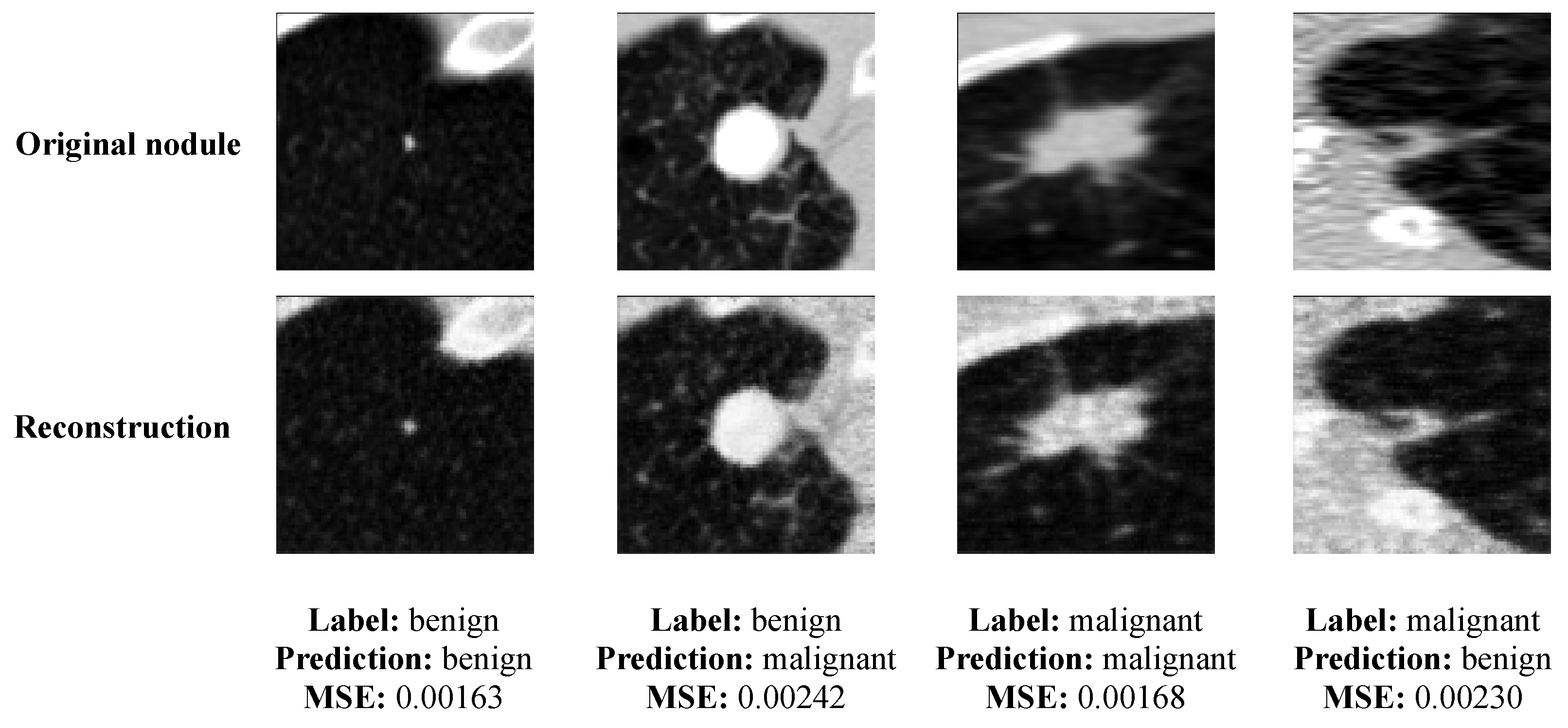 Applsci 10 07837 g005 Applsci 10 07837 g005