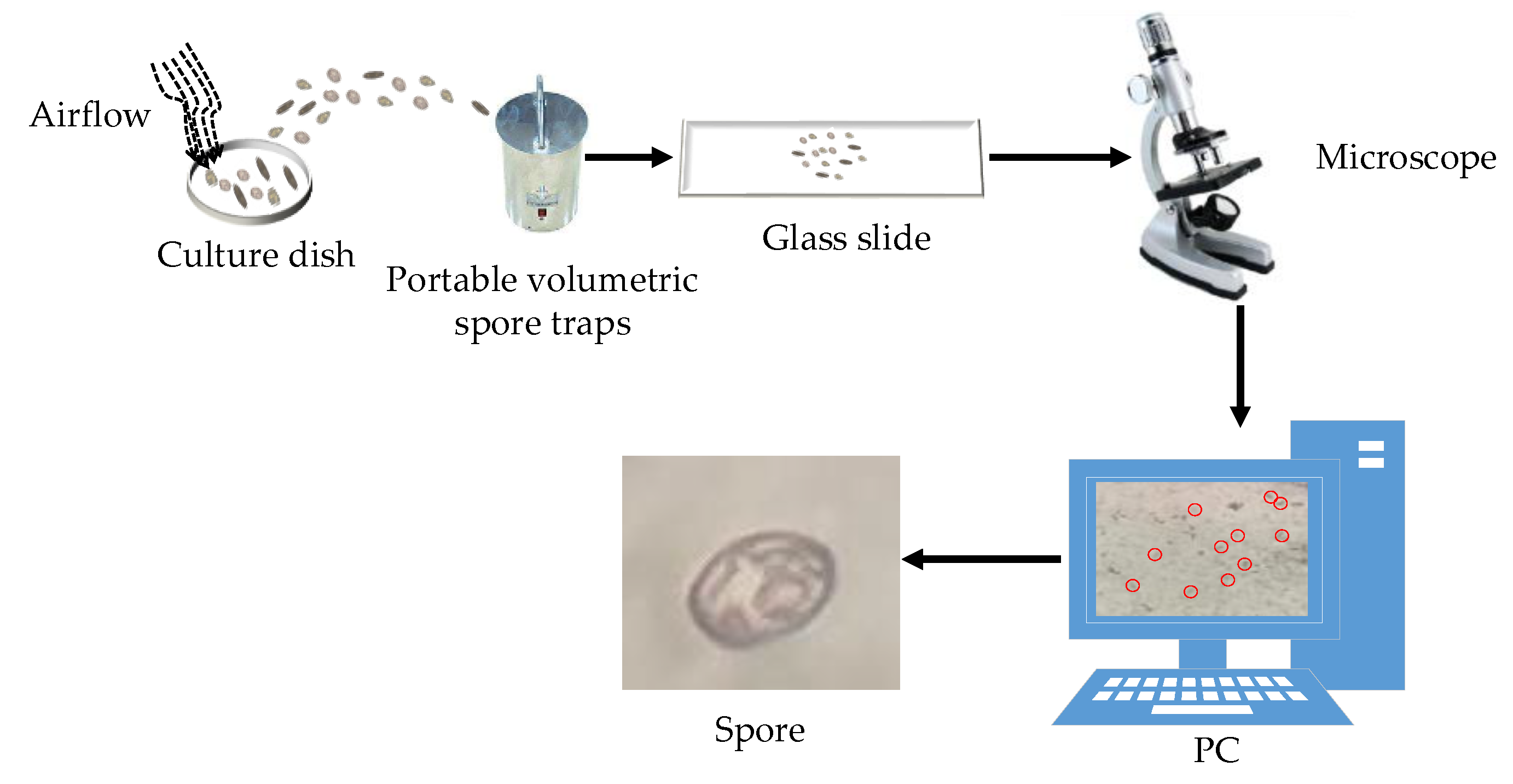 Applsci 10 07850 g002
