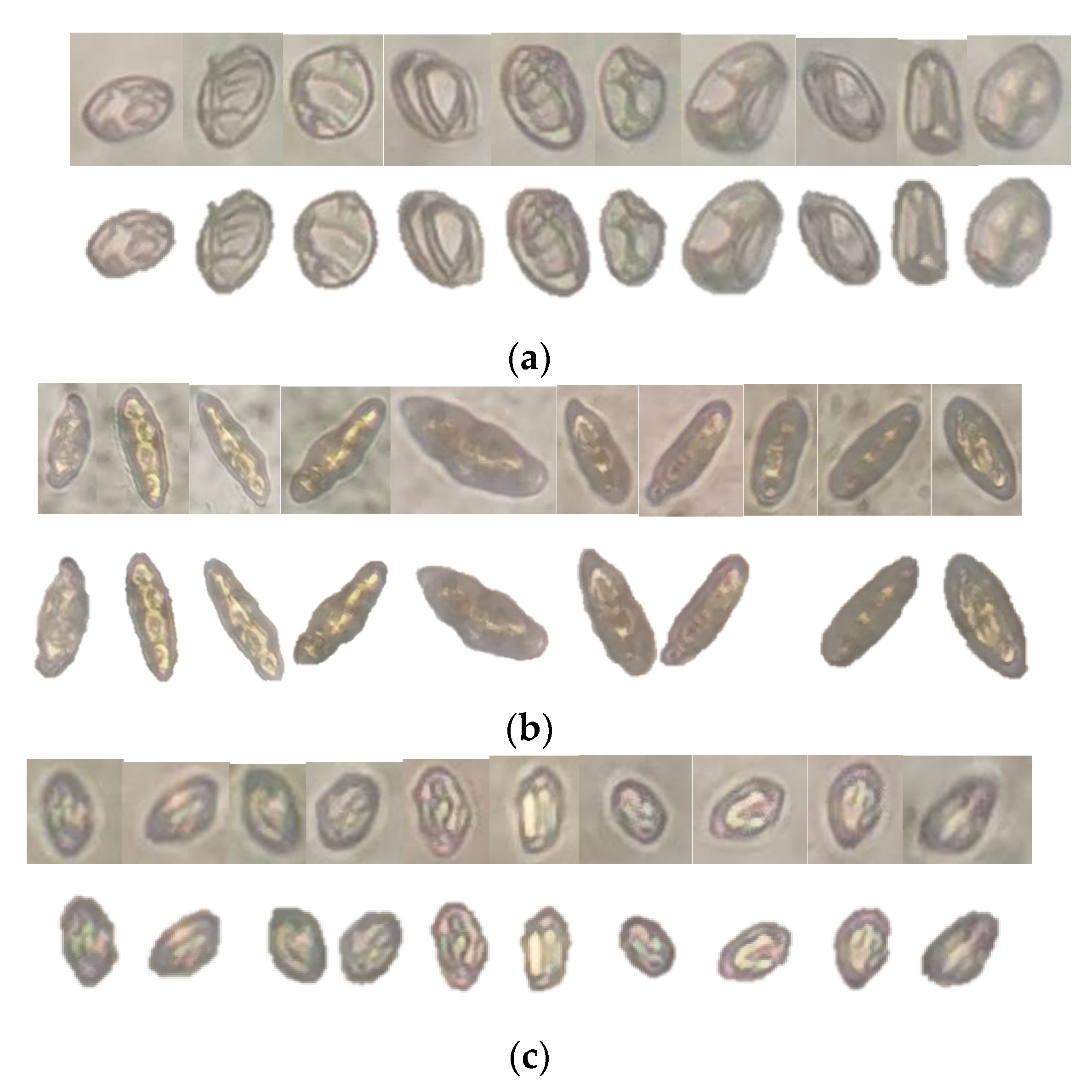 Applsci 10 07850 g004