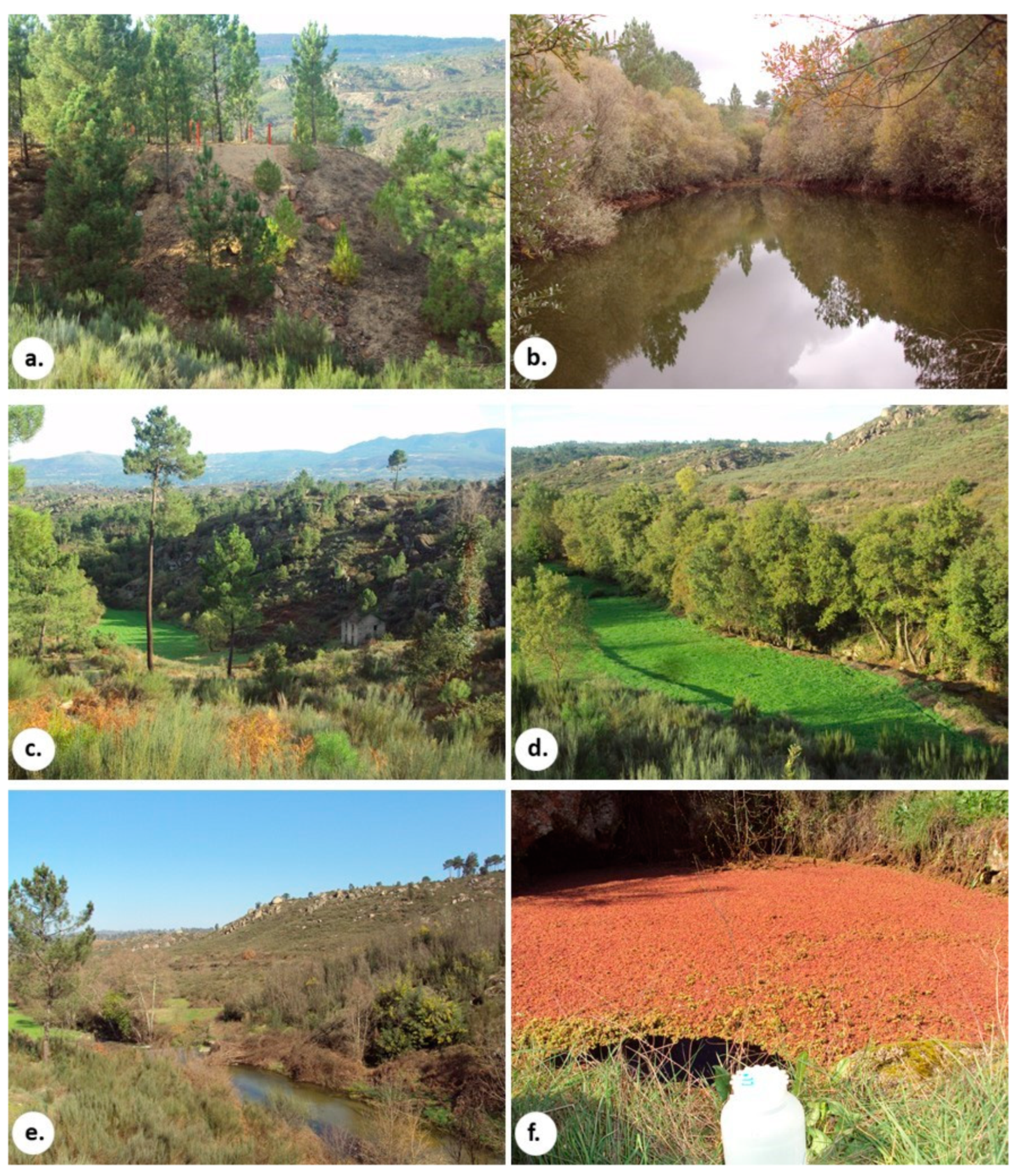 Applsci 10 07866 g001 Applsci 10 07866 g001